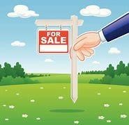 3640 S Pine Island Levee Road Property Photo 4