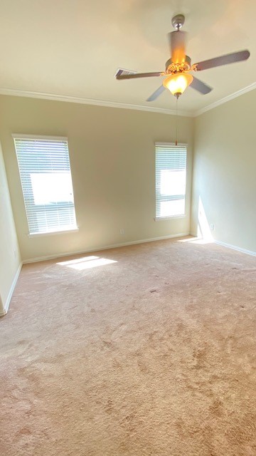5002 Naples Grove Lane Property Photo 29