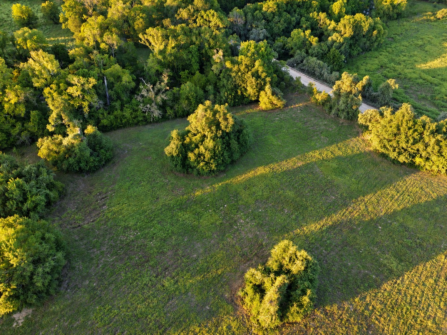 10277 Mt Falls School Road Property Photo 2
