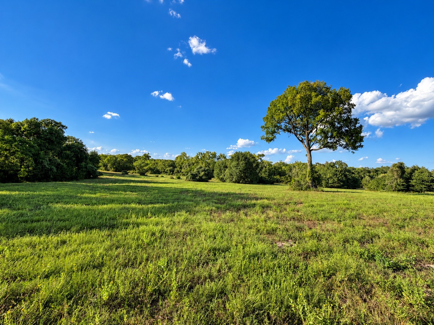 10277 Mt Falls School Road Property Photo 5
