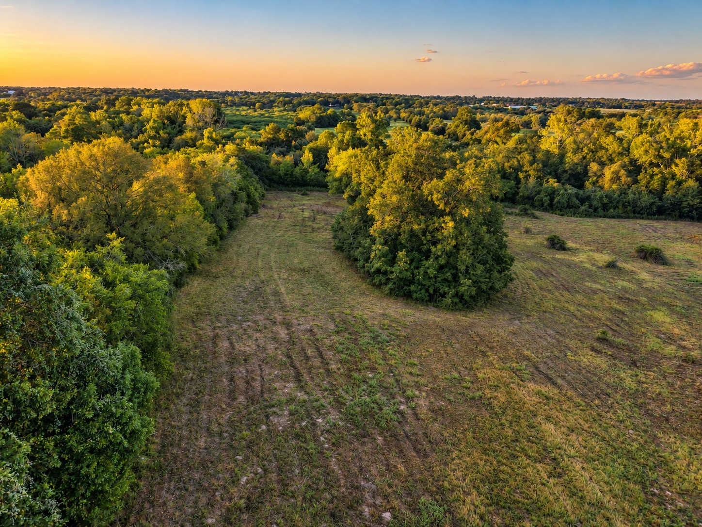 10277 Mt Falls School Road Property Photo 6
