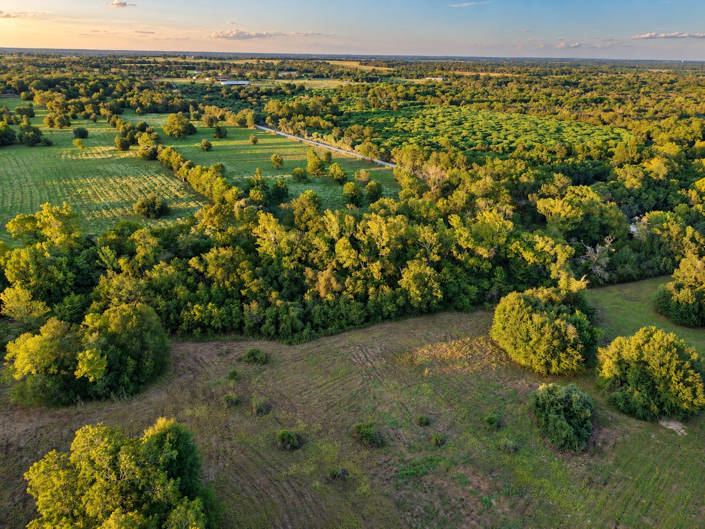 10277 Mt Falls School Road Property Photo 7