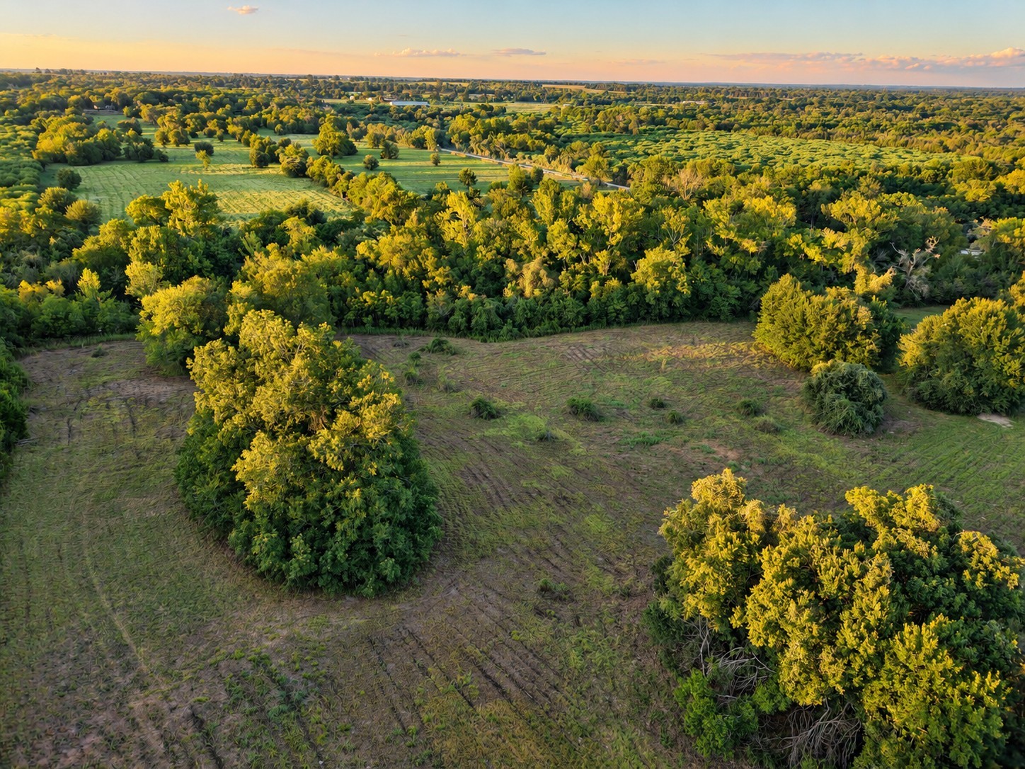 10277 Mt Falls School Road Property Photo 8