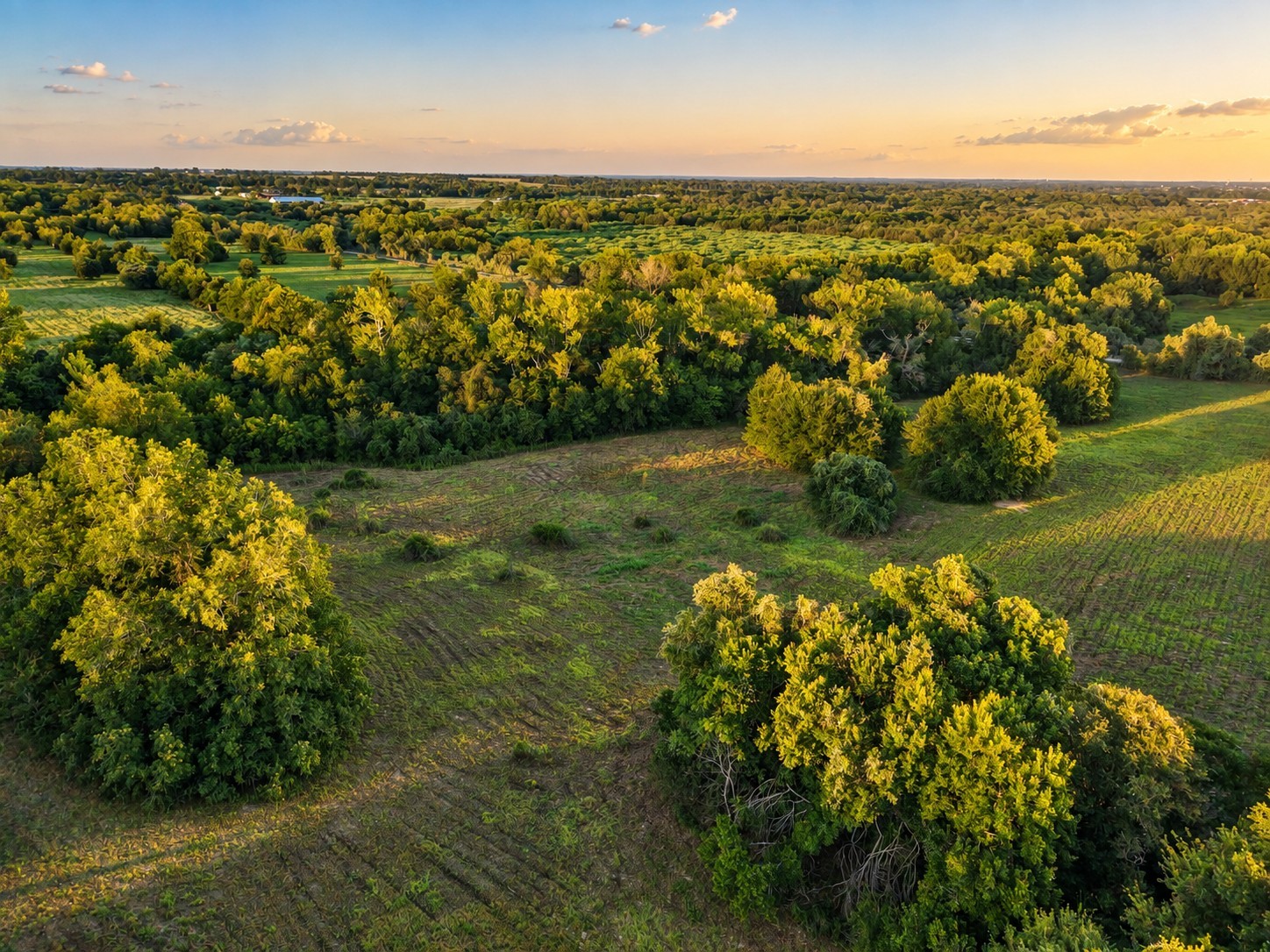 10277 Mt Falls School Road Property Photo 11