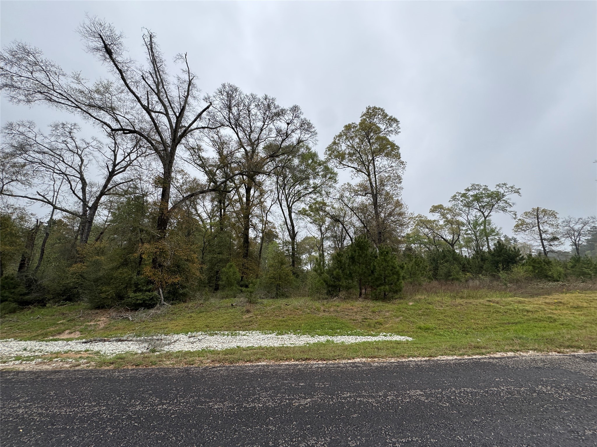 2-11-15 Remington Road Property Photo 4