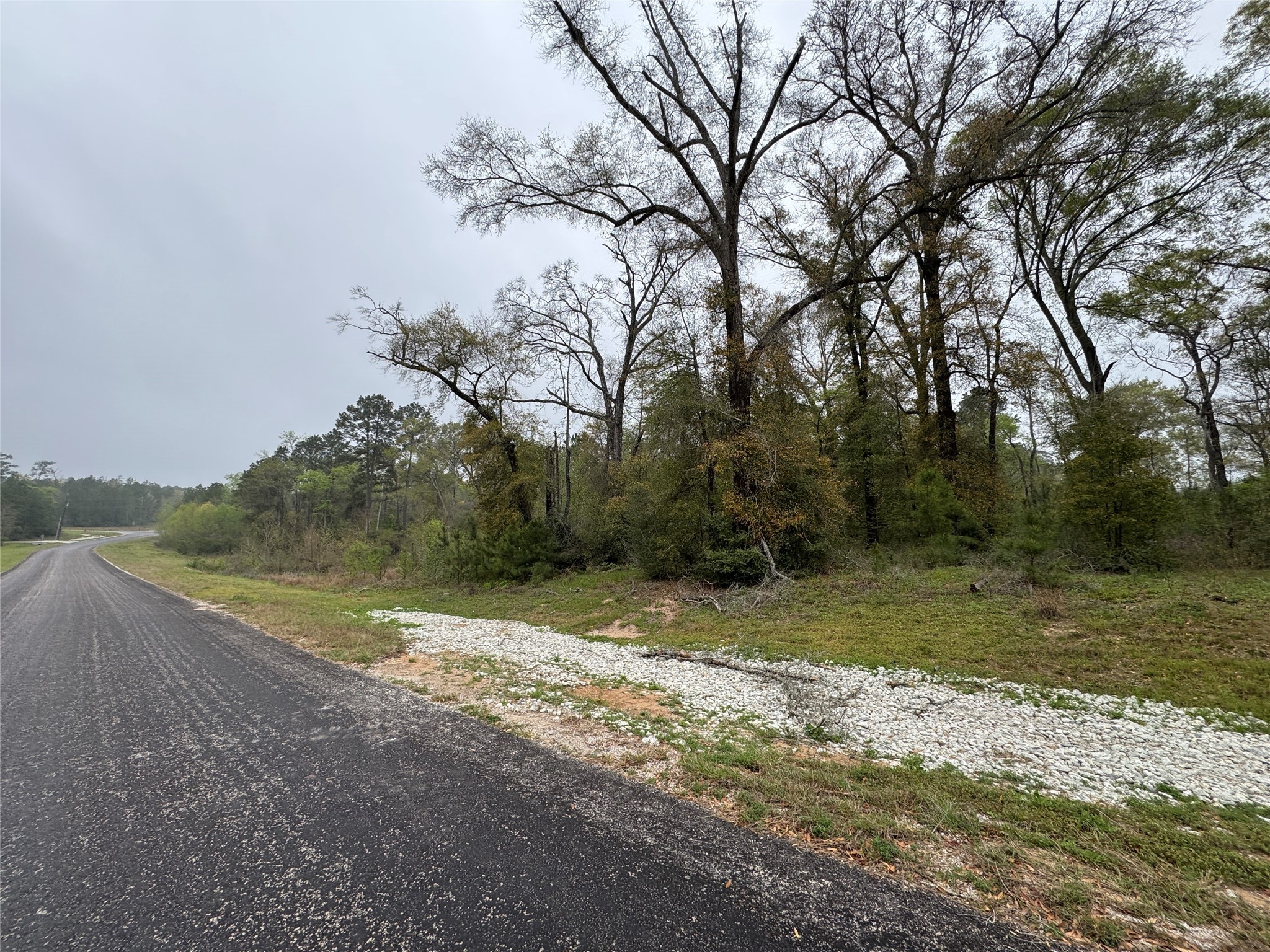 2-11-15 Remington Road Property Photo 5