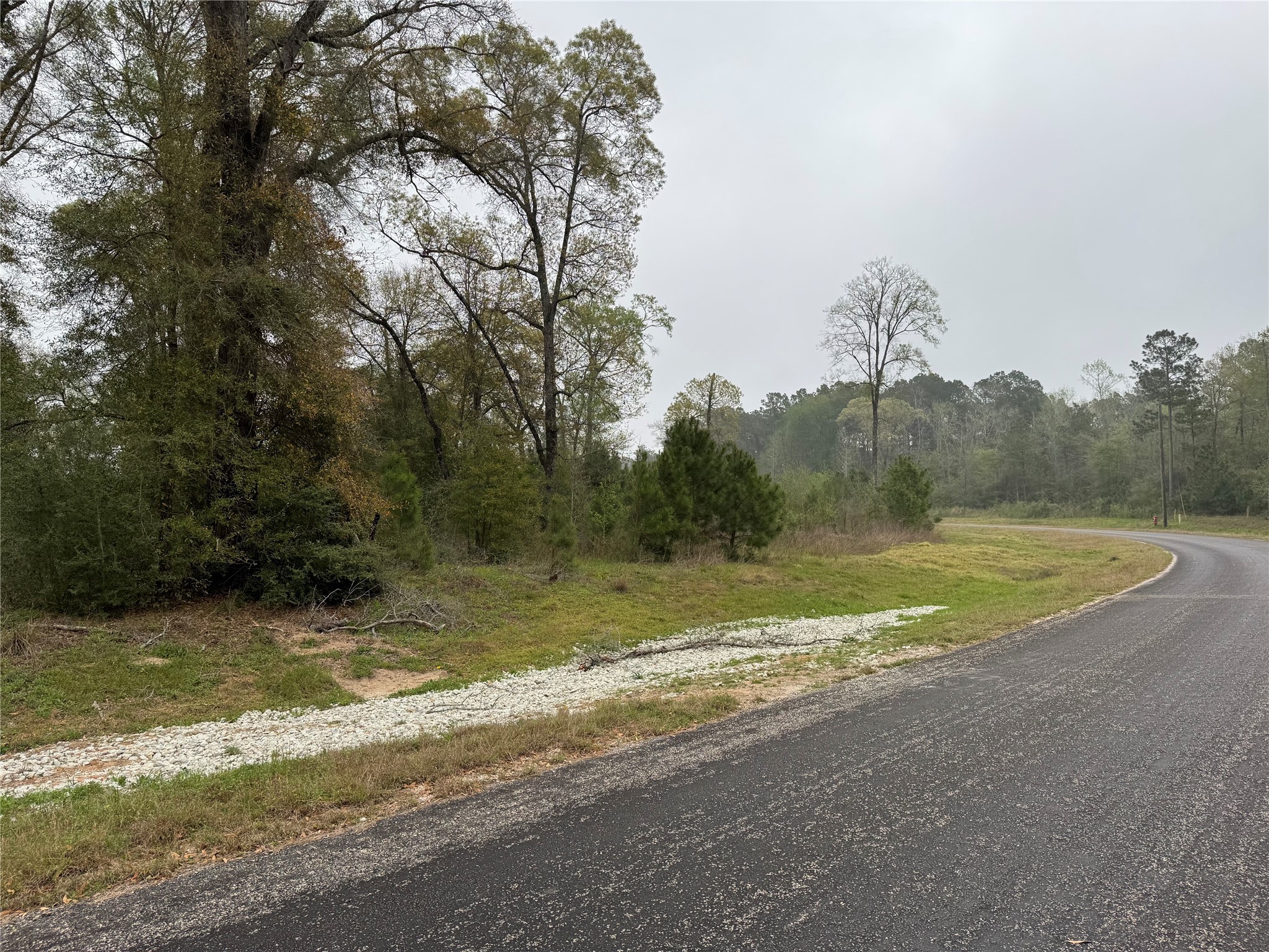 2-11-15 Remington Road Property Photo 6