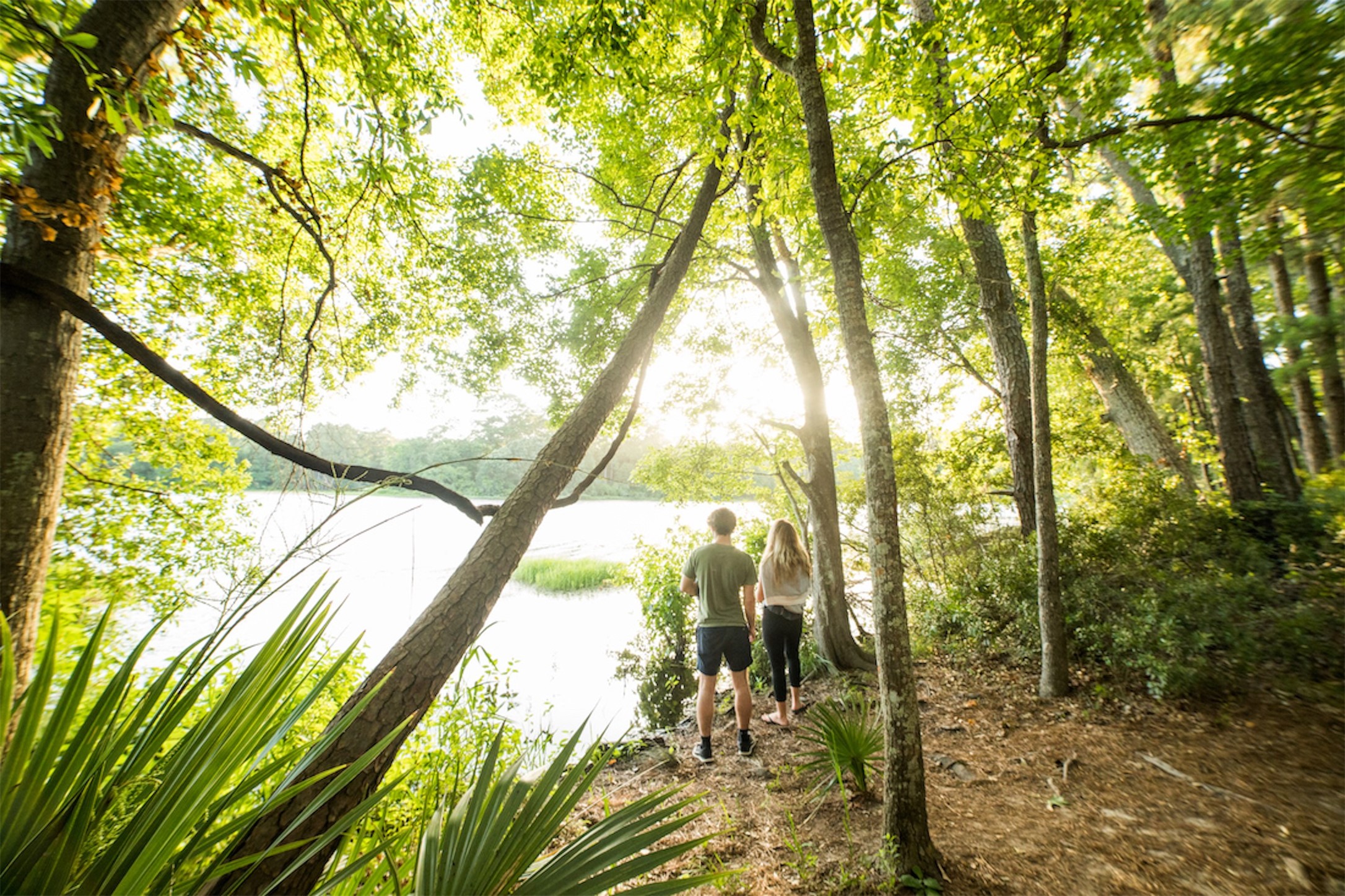 2-11-15 Remington Road Property Photo 19