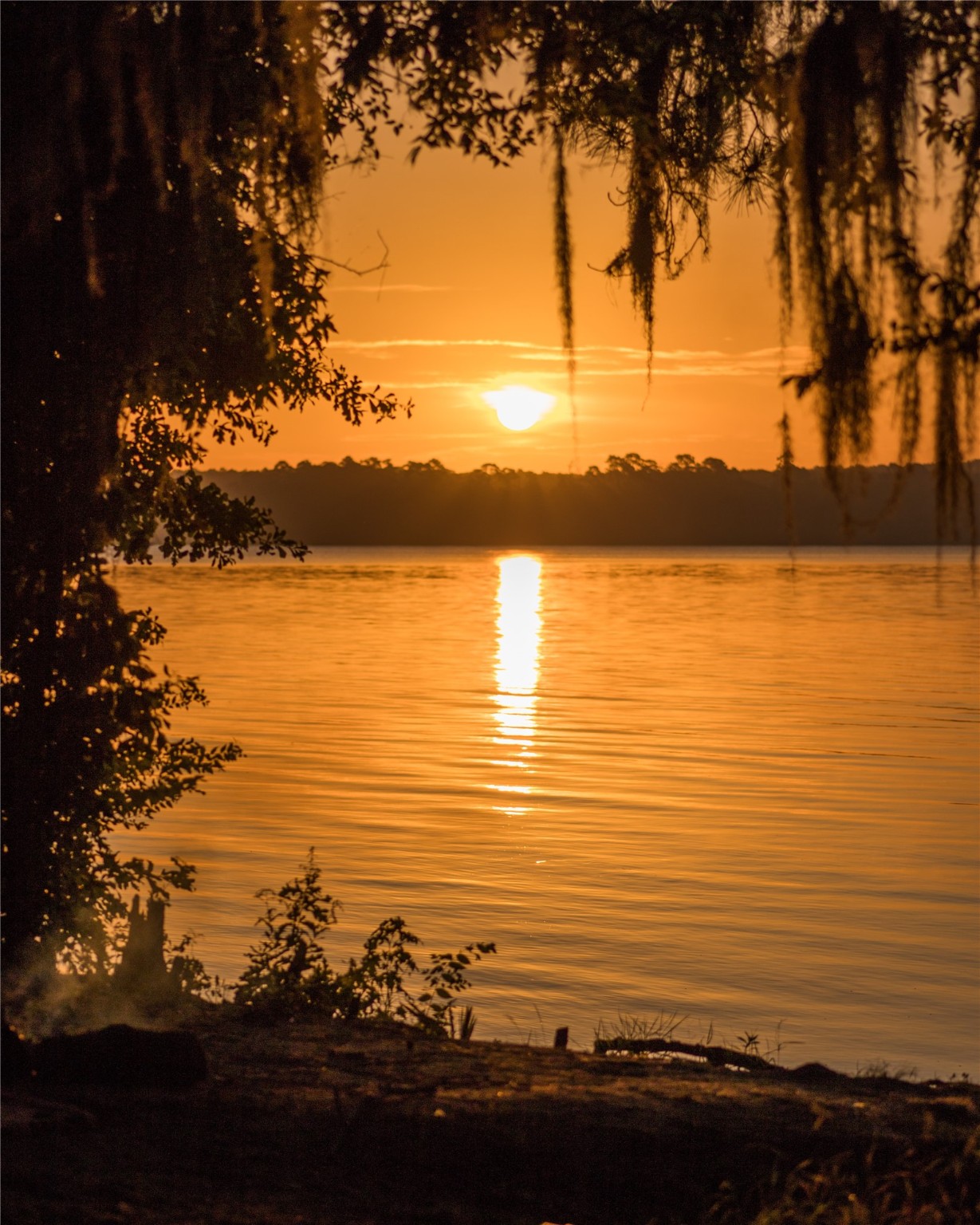 2-11-15 Remington Road Property Photo 22