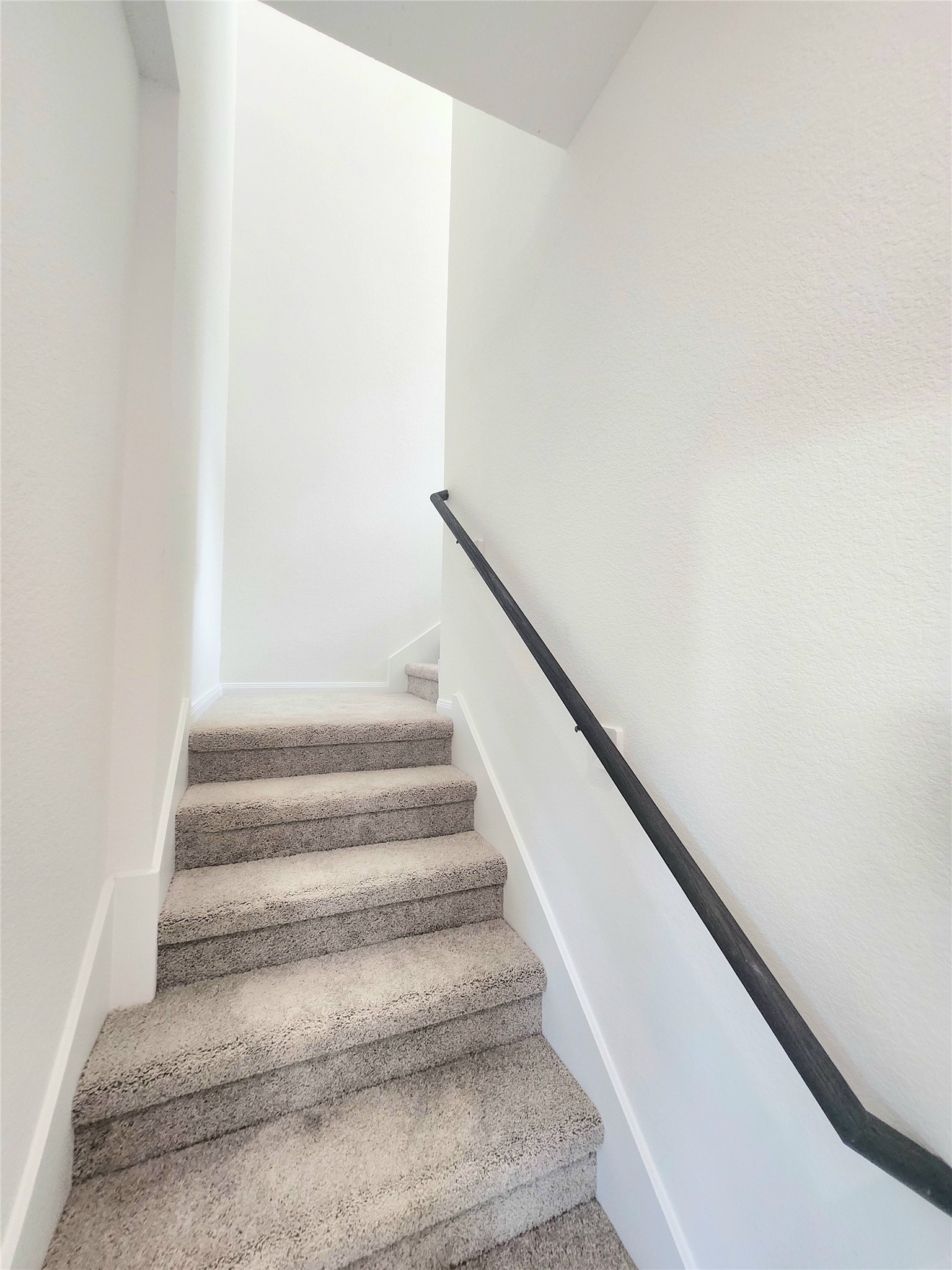 4713 Mallow Street C Property Photo 9