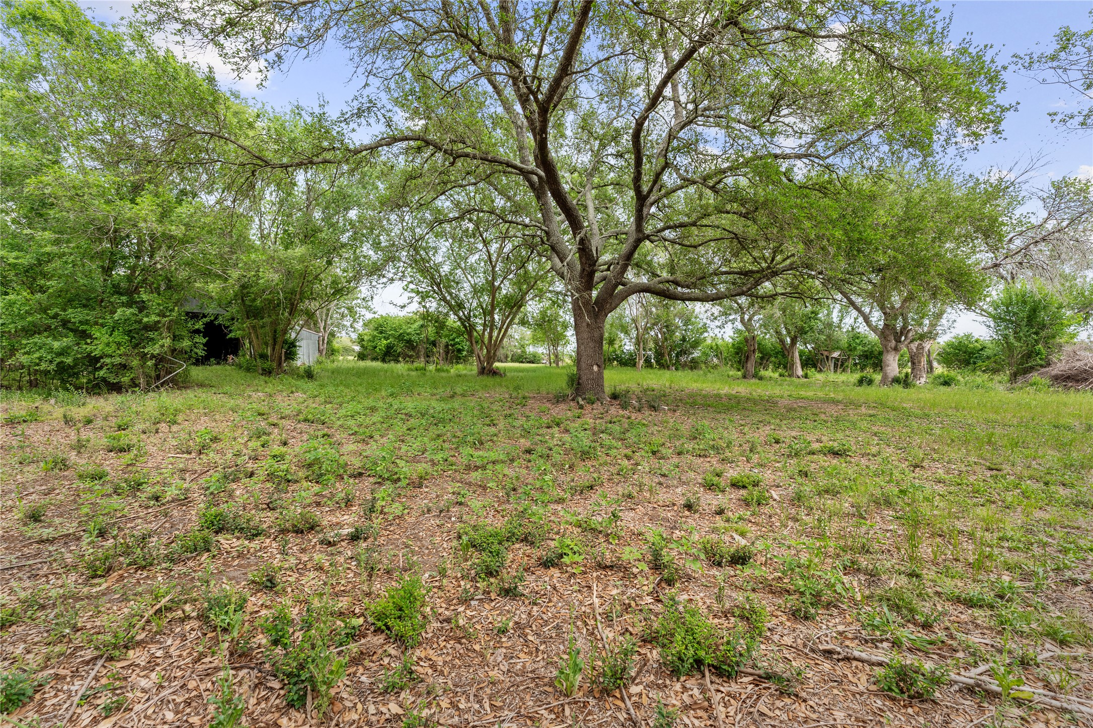 3325 Fm 360 Road Property Photo 22