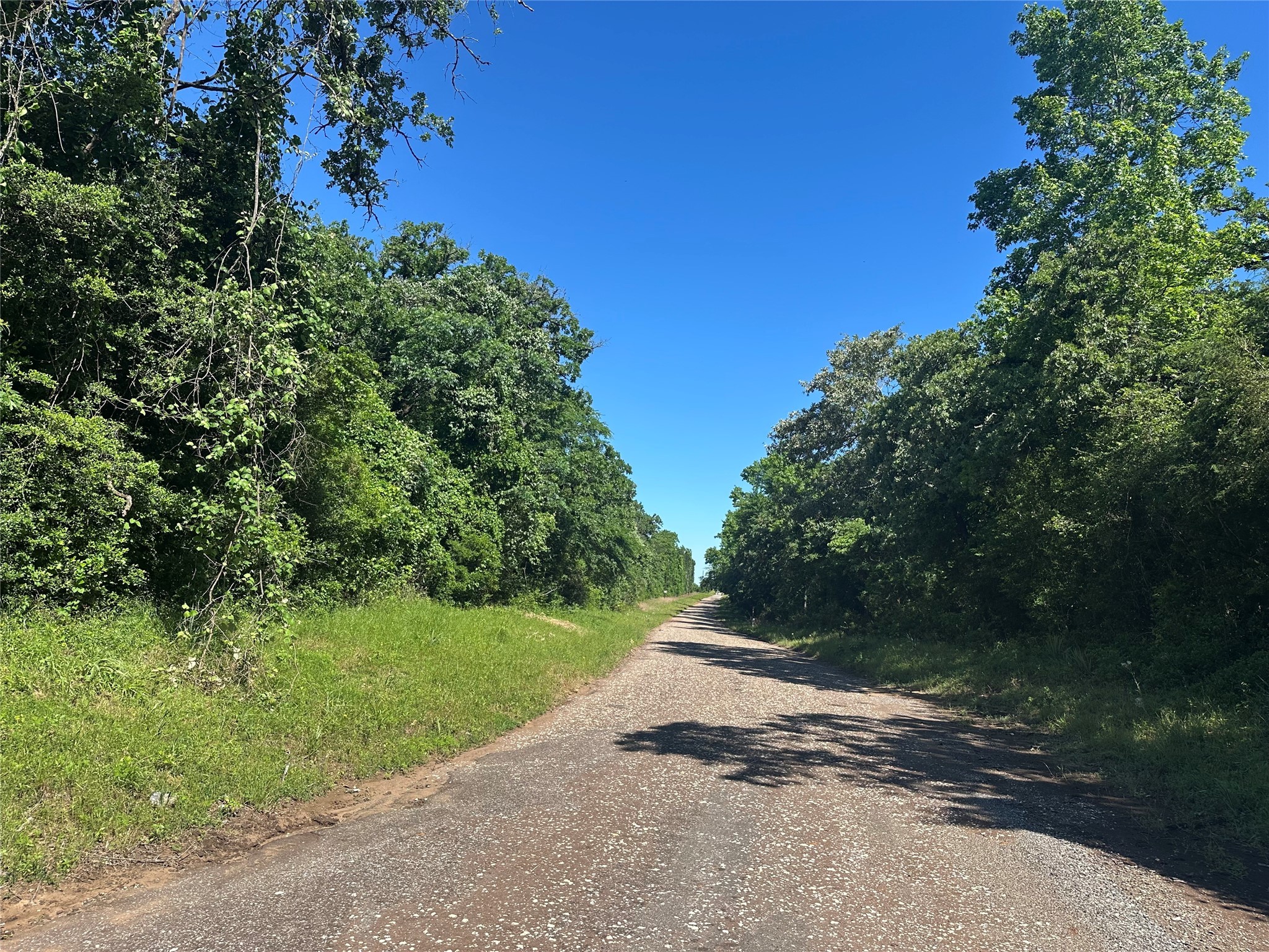 12ac Cr 219 Property Photo 1