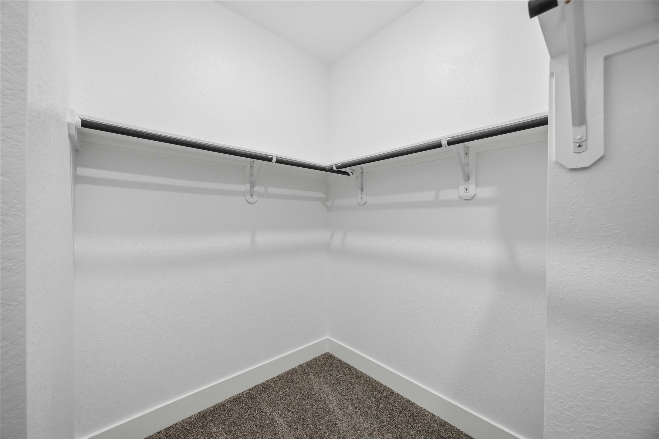 207 Rose Laurel Drive Property Photo 22