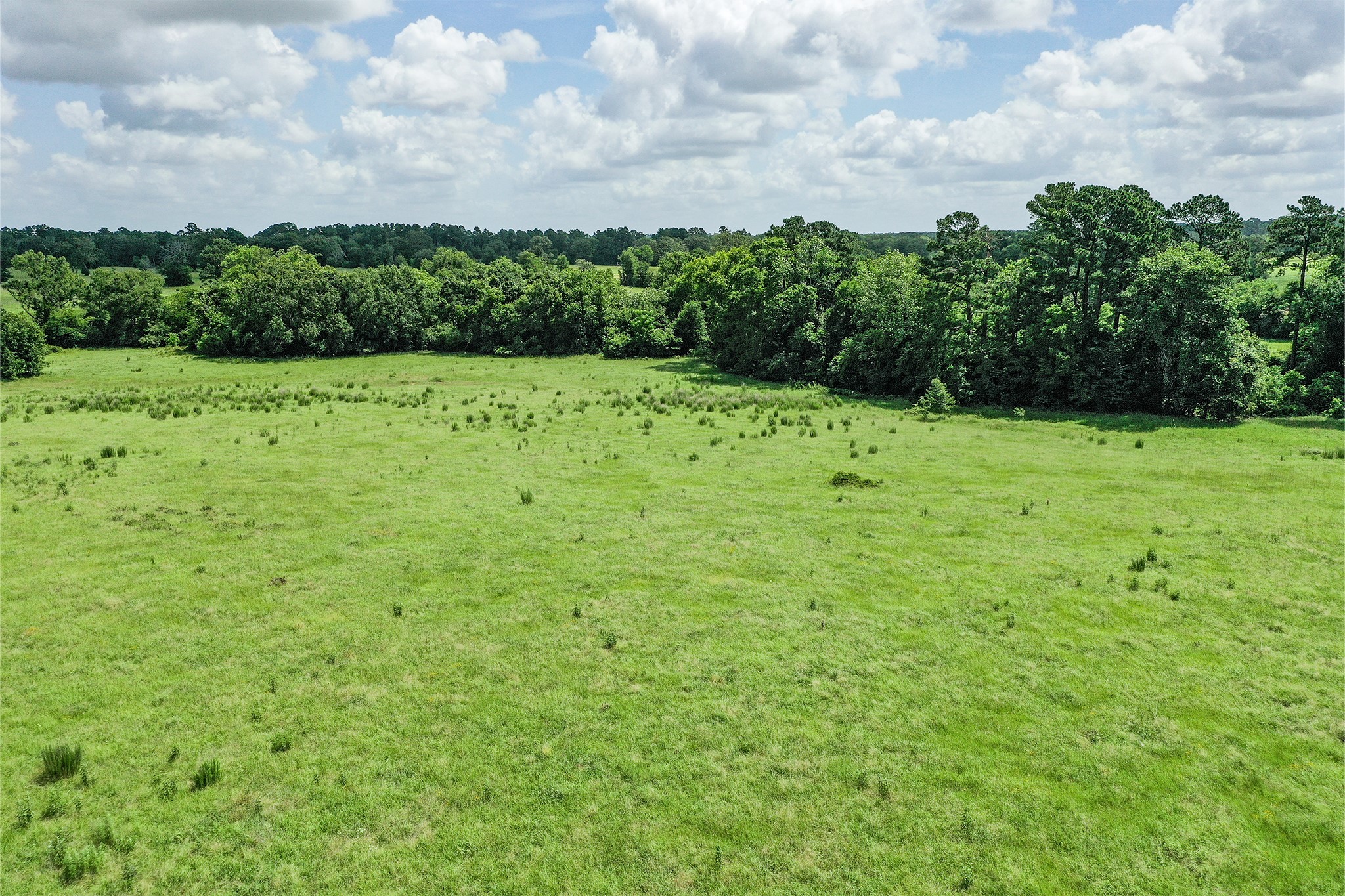 42.5 +/- Acres Jc Walker Loop Property Photo 2