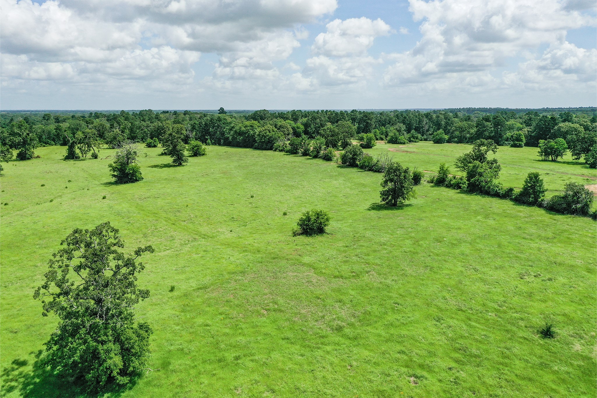 42.5 +/- Acres Jc Walker Loop Property Photo 3