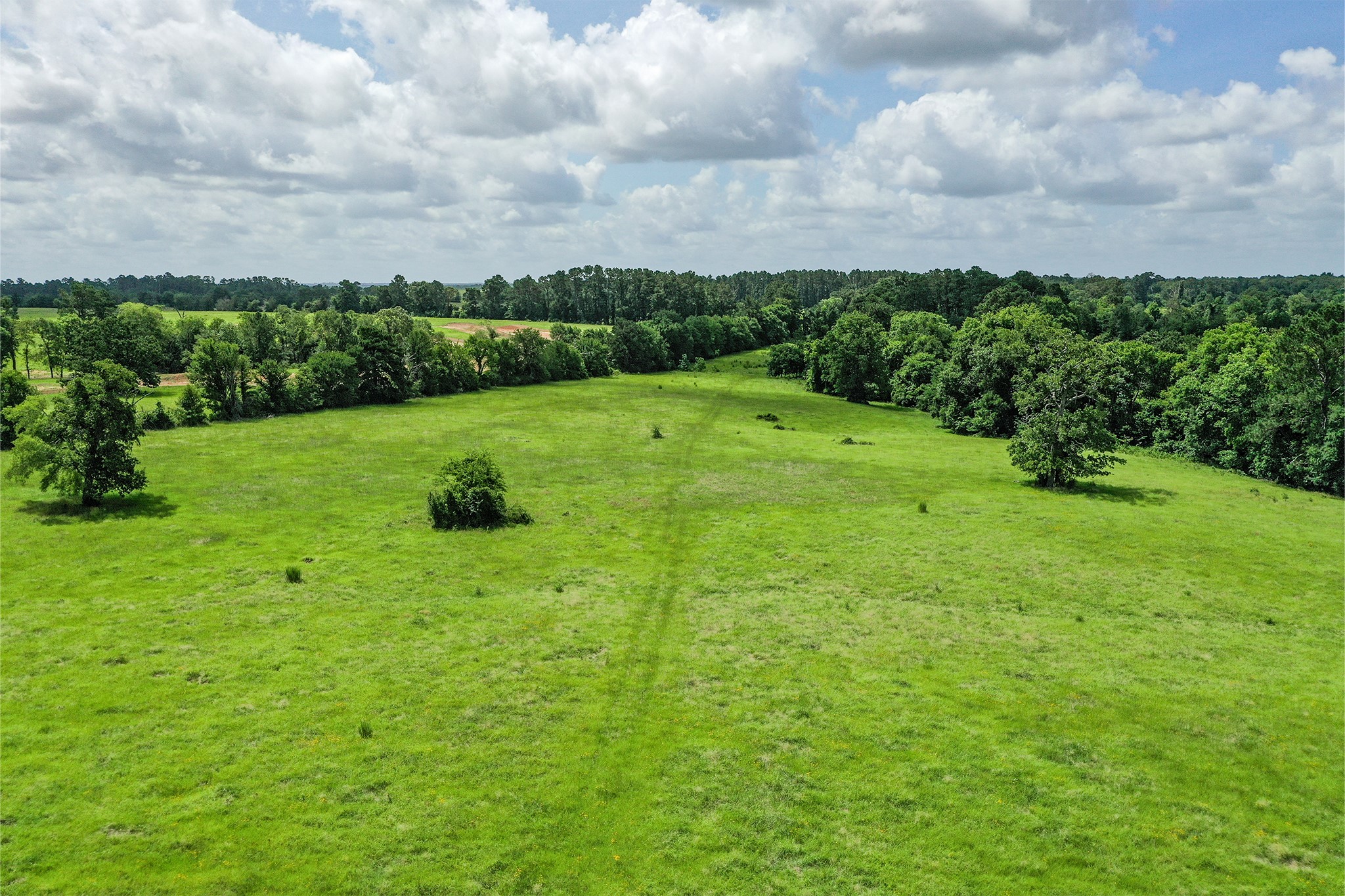 42.5 +/- Acres Jc Walker Loop Property Photo 6