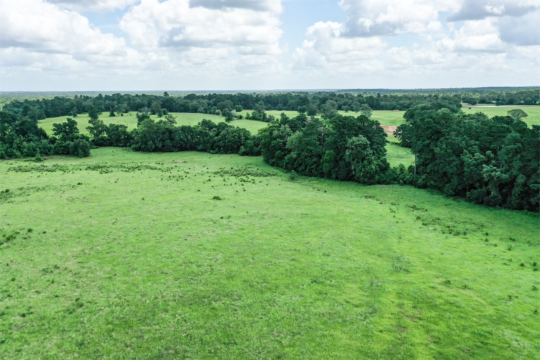 42.5 +/- Acres Jc Walker Loop Property Photo 7