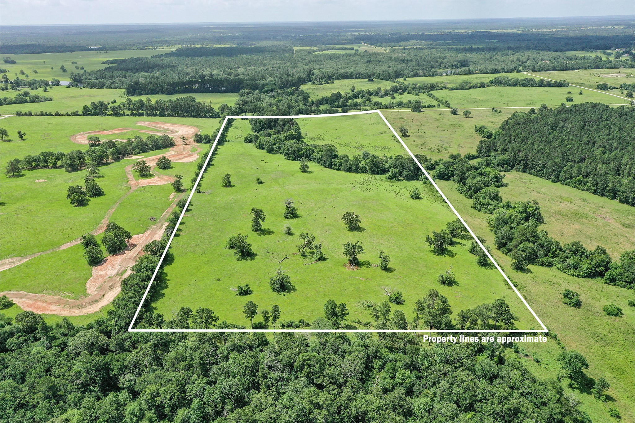 42.5 +/- Acres Jc Walker Loop Property Photo 8
