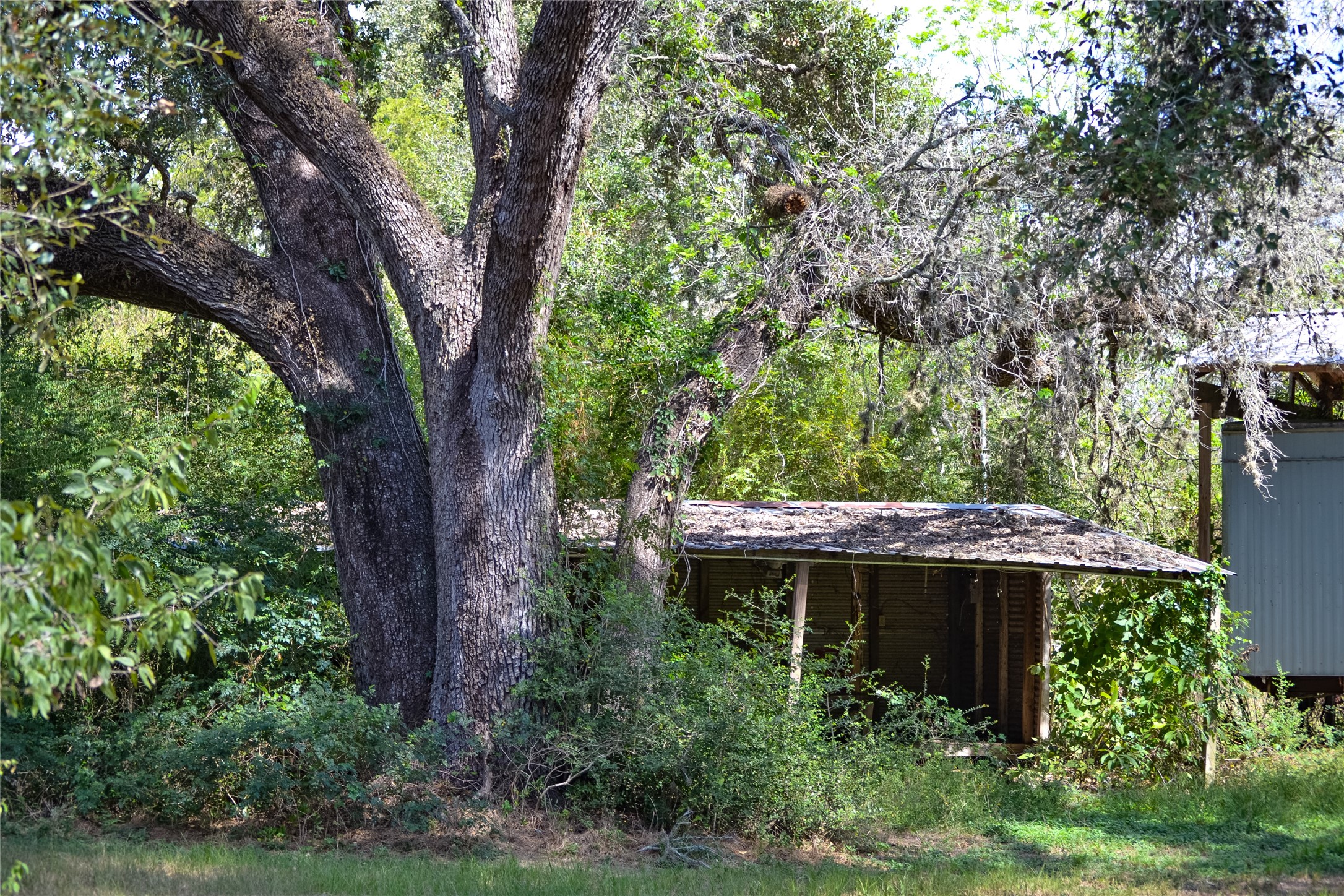 2916 Lupton Street Property Photo 4