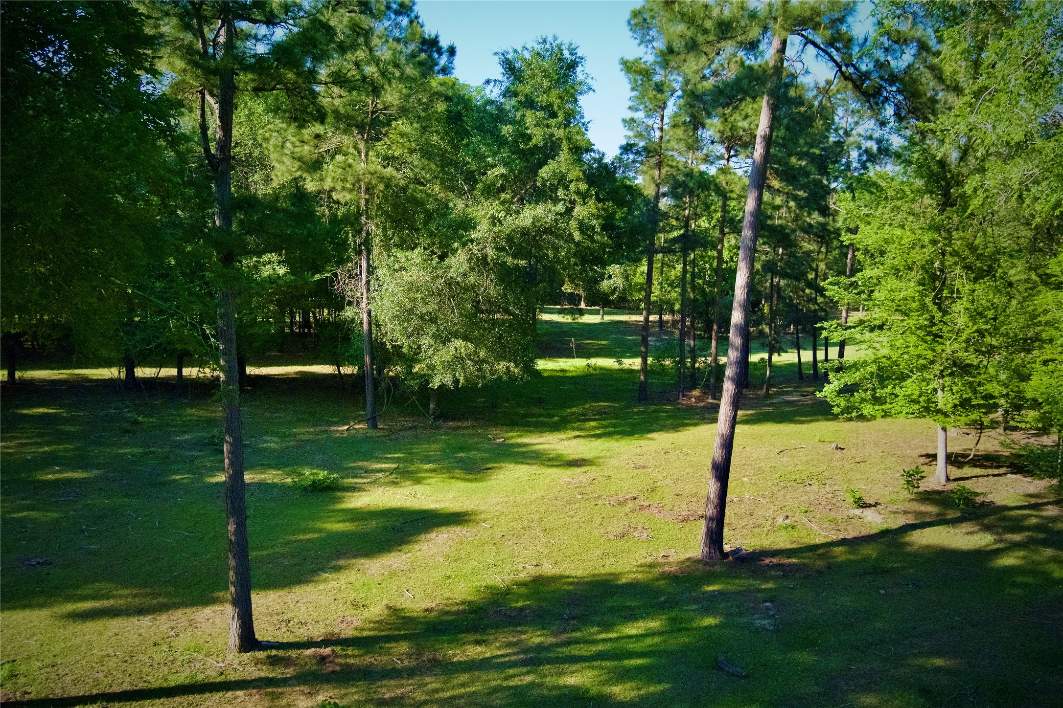 59 Beaconsfield Drive Property Photo 46