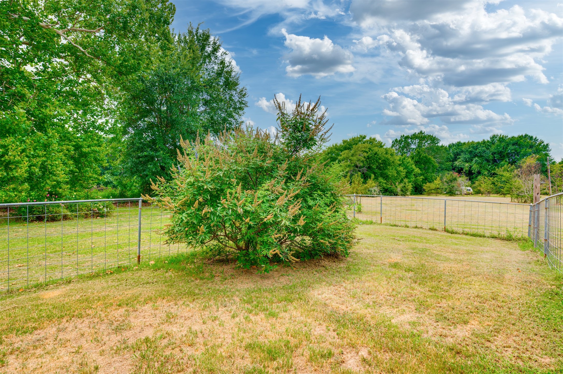 531 County Road 3501 Road Property Photo 22