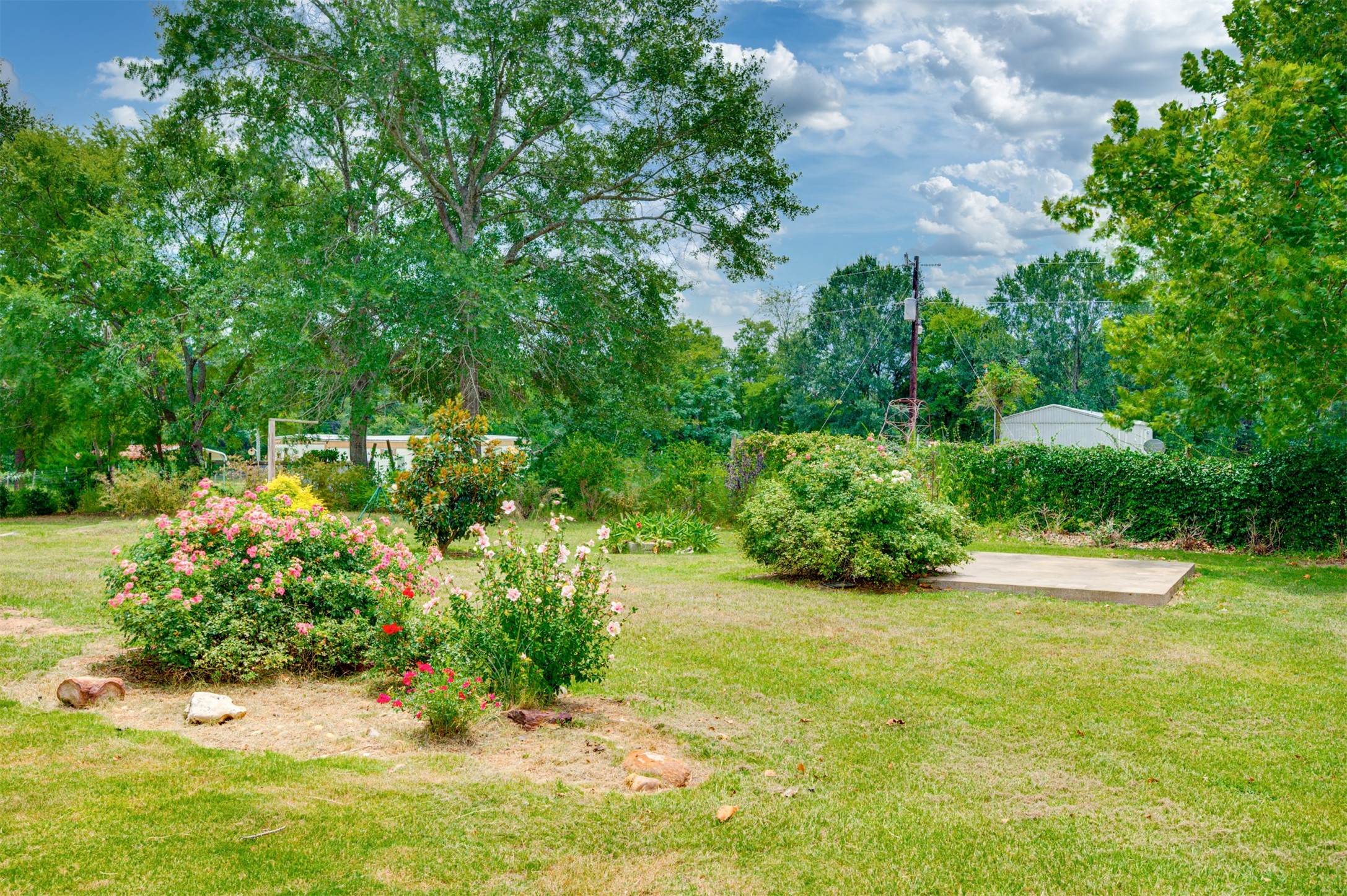 531 County Road 3501 Road Property Photo 24