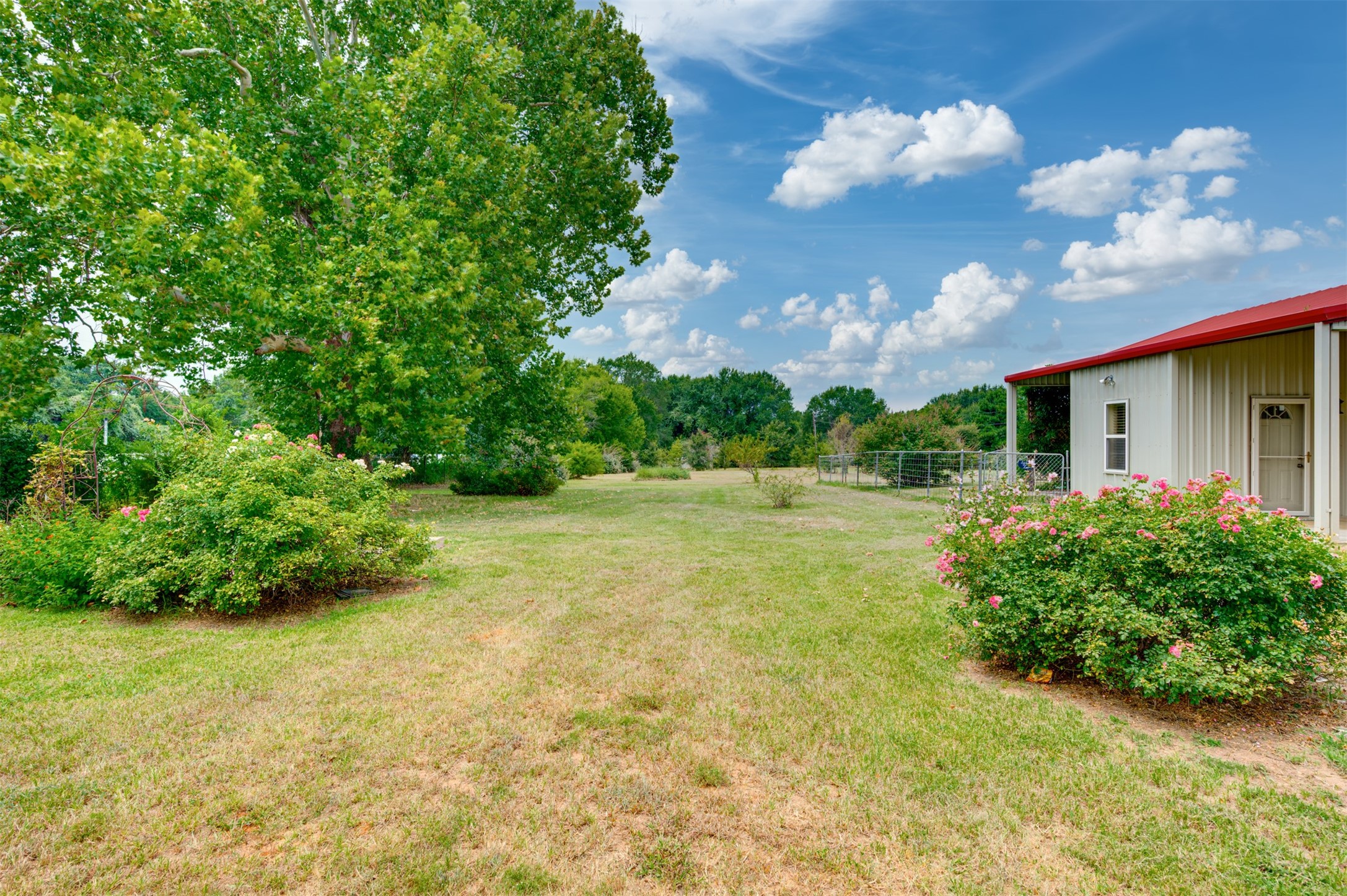531 County Road 3501 Road Property Photo 26