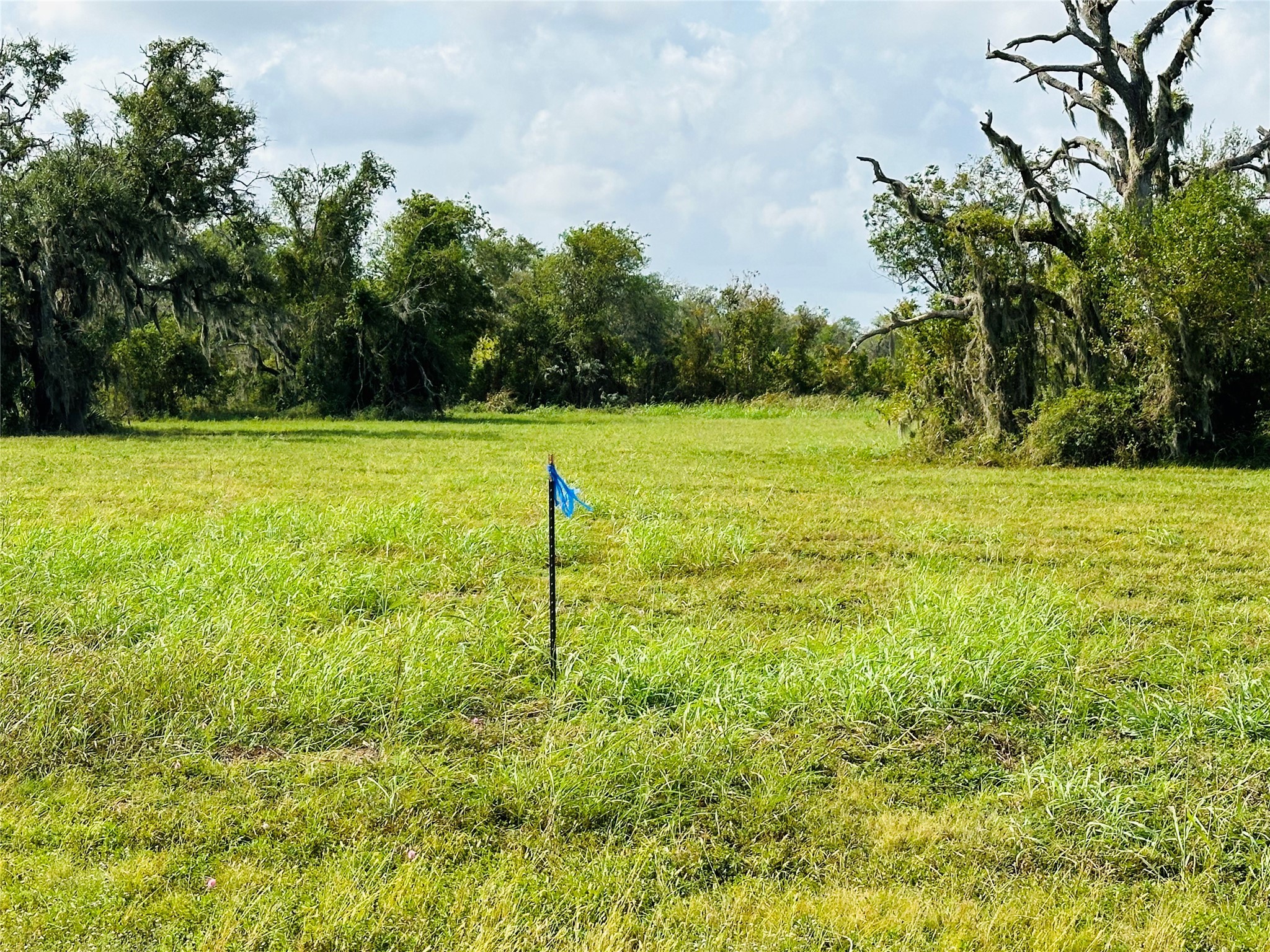 274 Pony Trail Property Photo 3