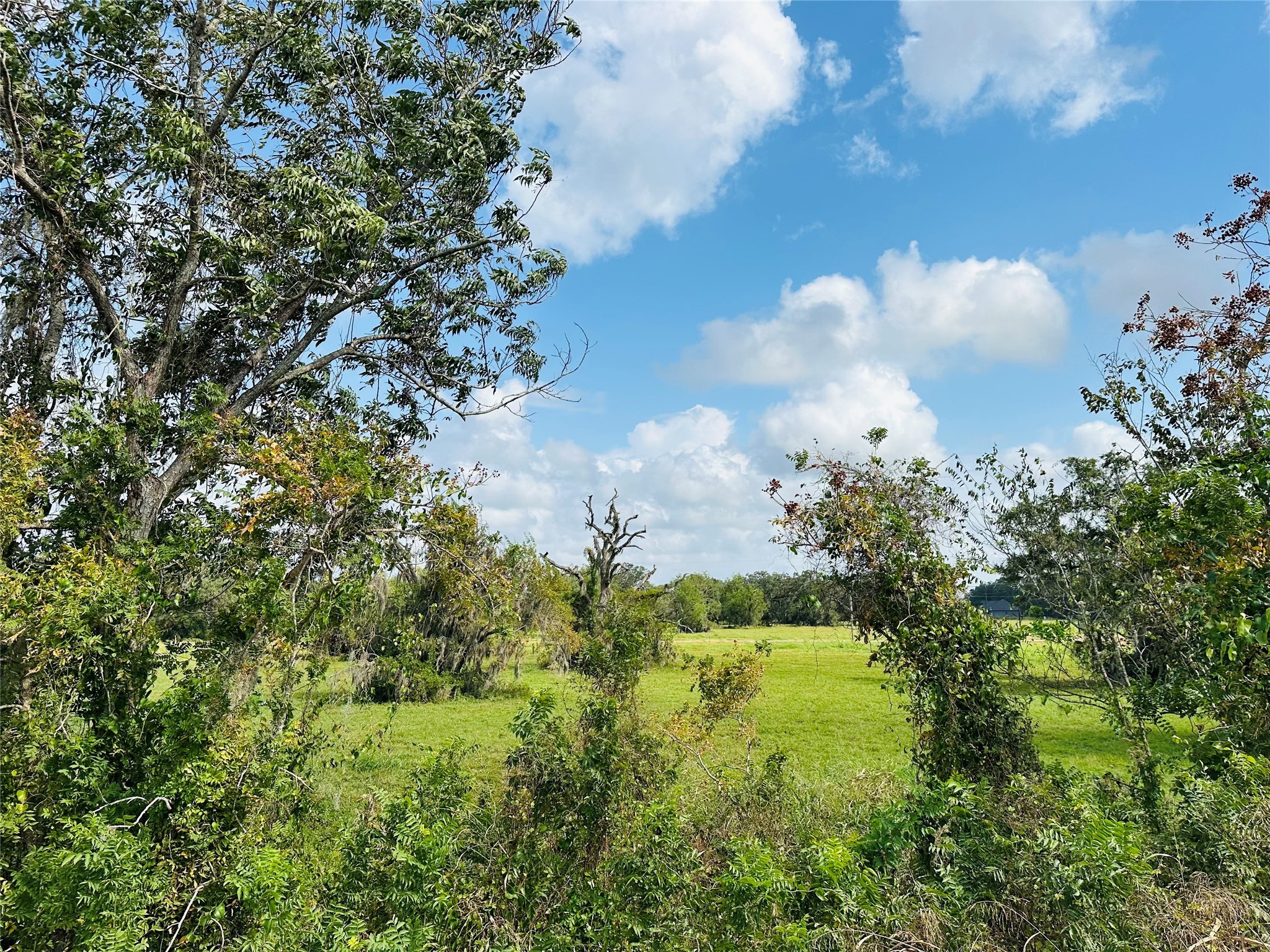 274 Pony Trail Property Photo 4