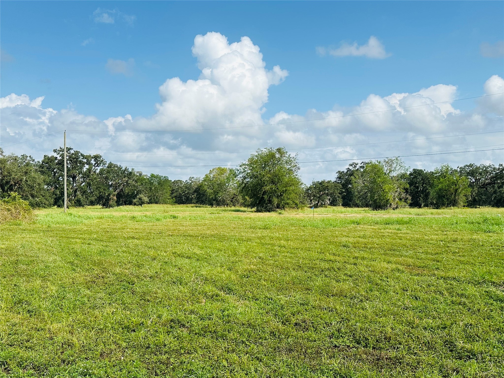 274 Pony Trail Property Photo 5