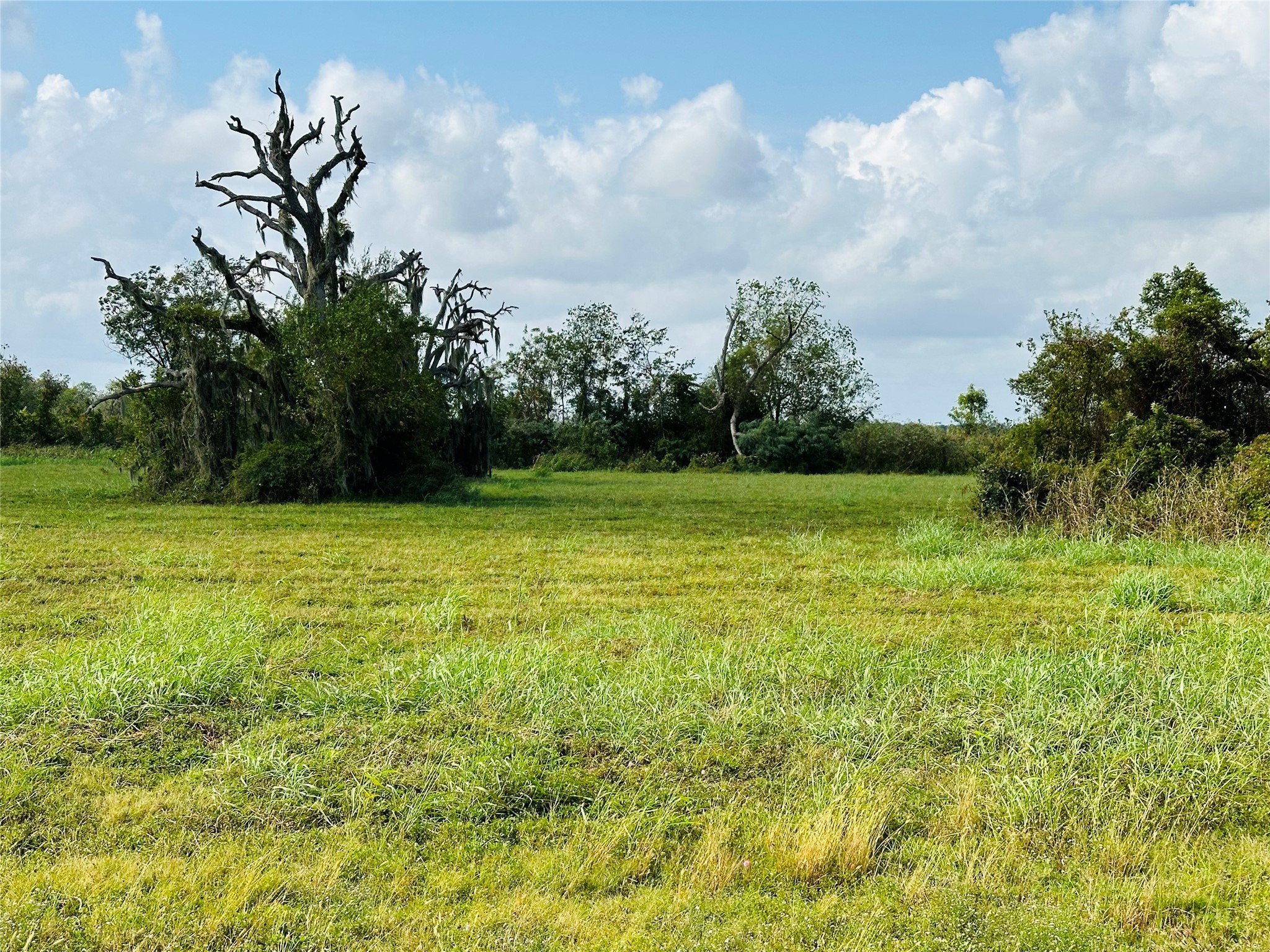 274 Pony Trail Property Photo 6