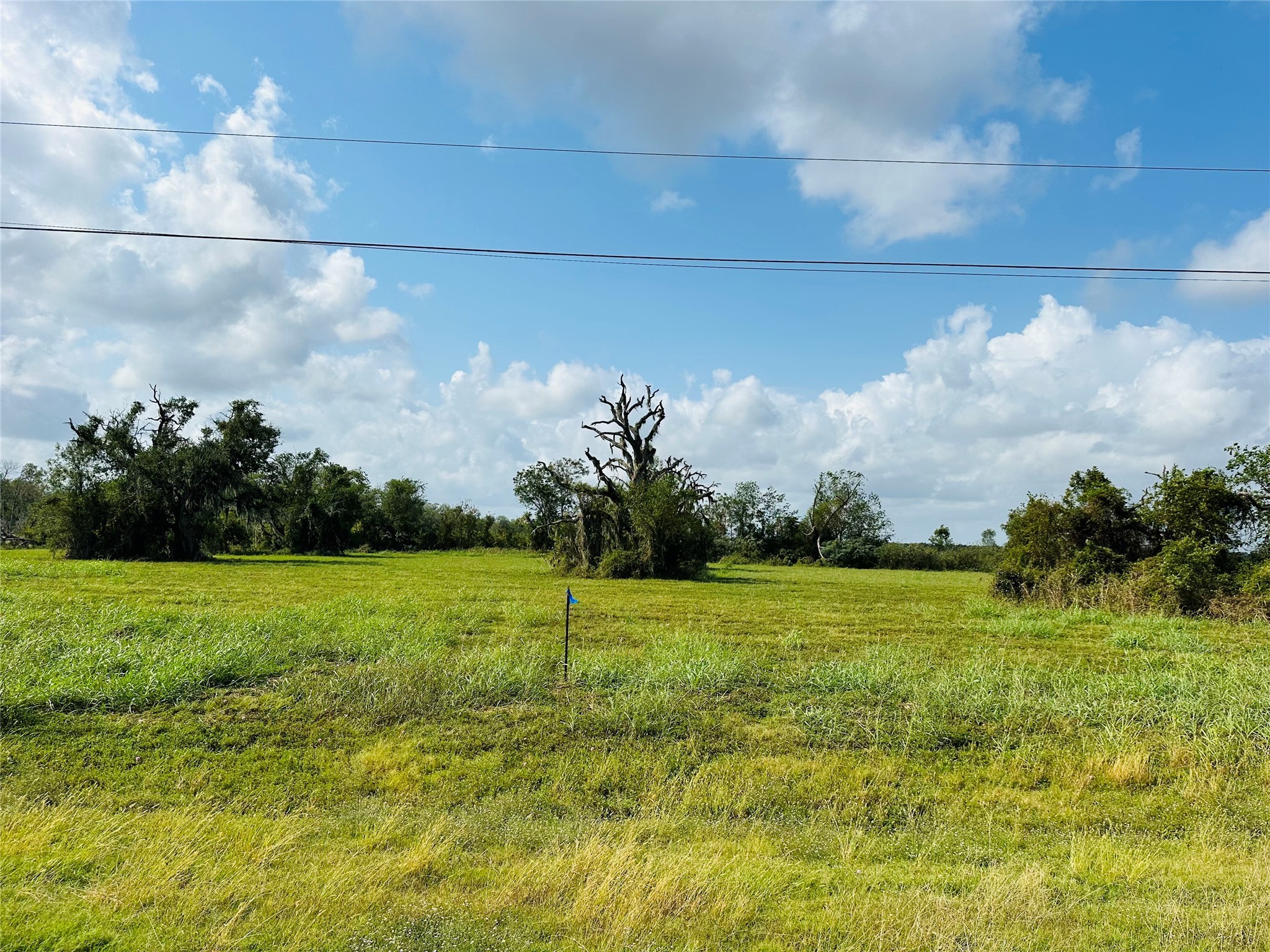 274 Pony Trail Property Photo 7