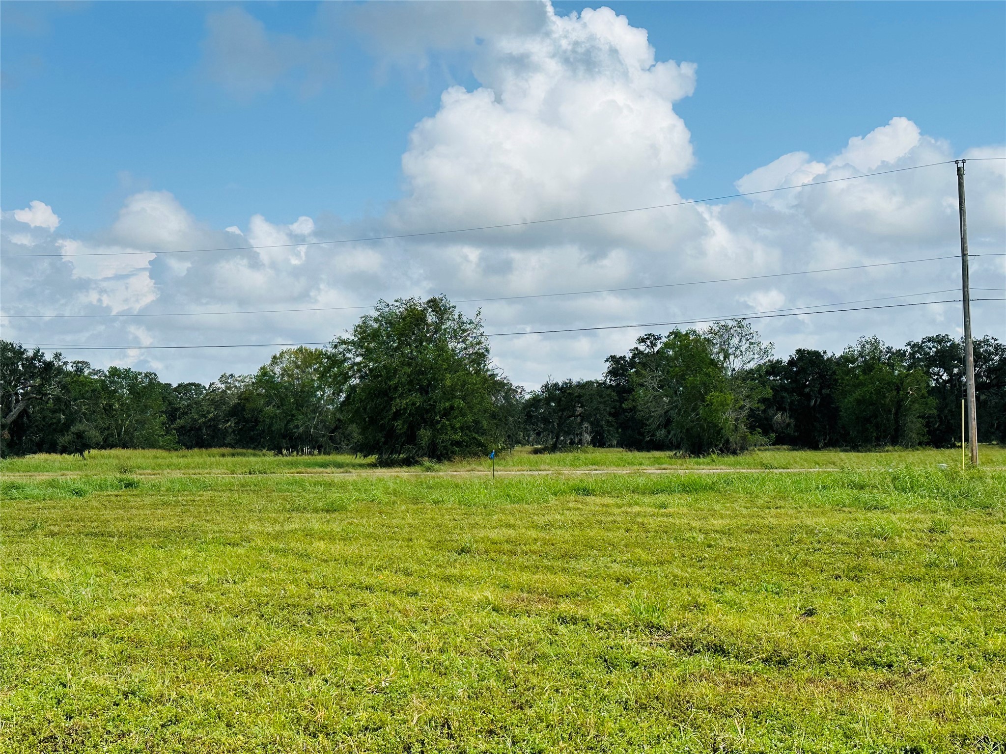 274 Pony Trail Property Photo 8
