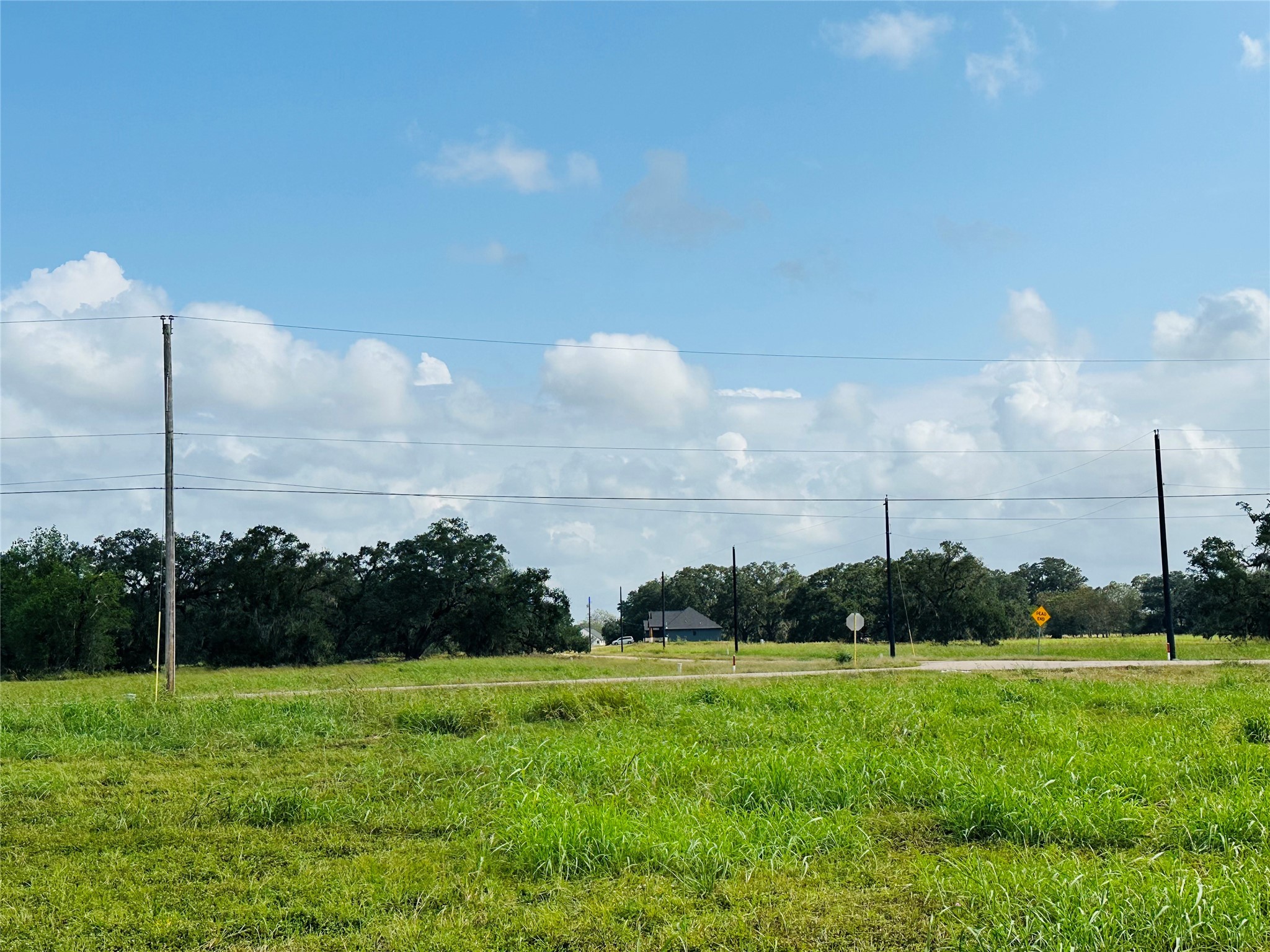 274 Pony Trail Property Photo 9