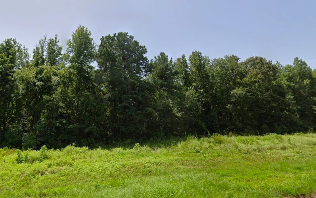 0 Hwy 155 Property Photo 3