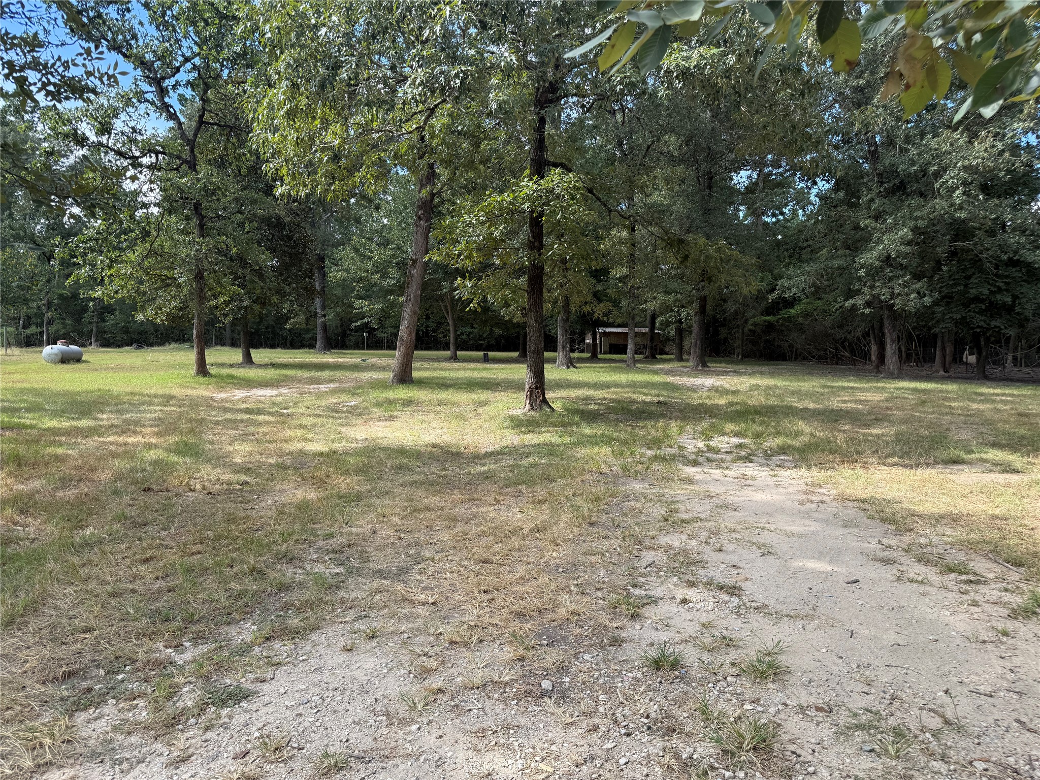 48 Hall Drive N Property Photo 11