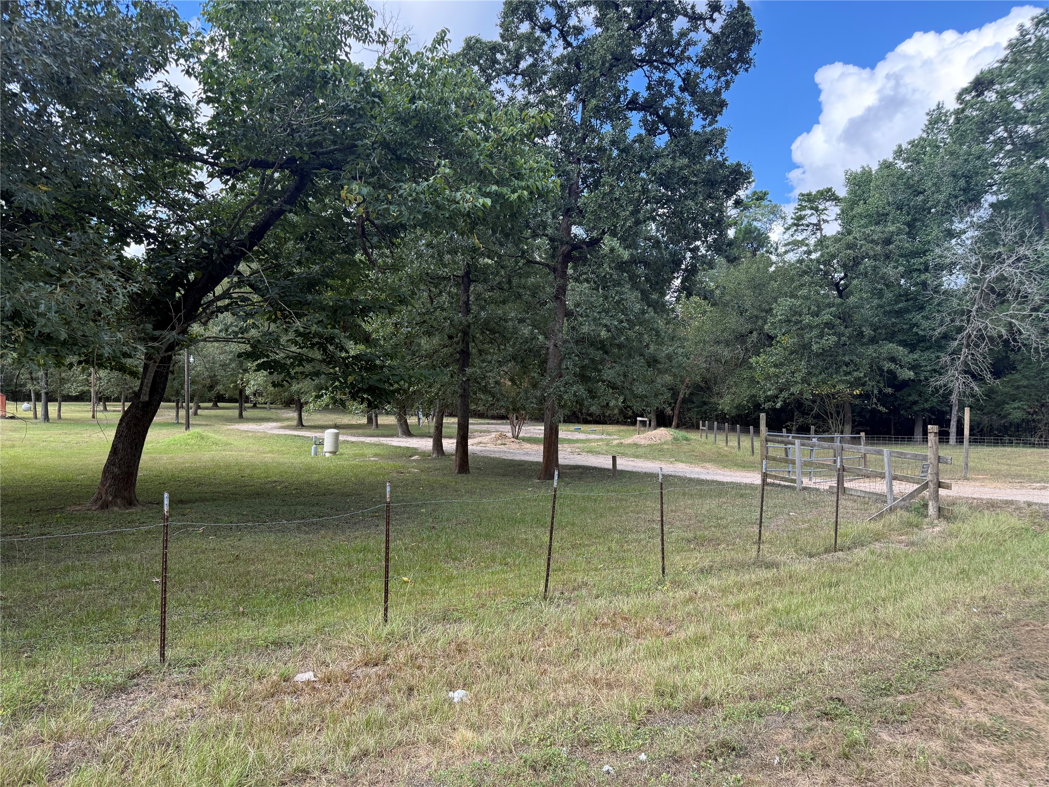 48 Hall Drive N Property Photo 16