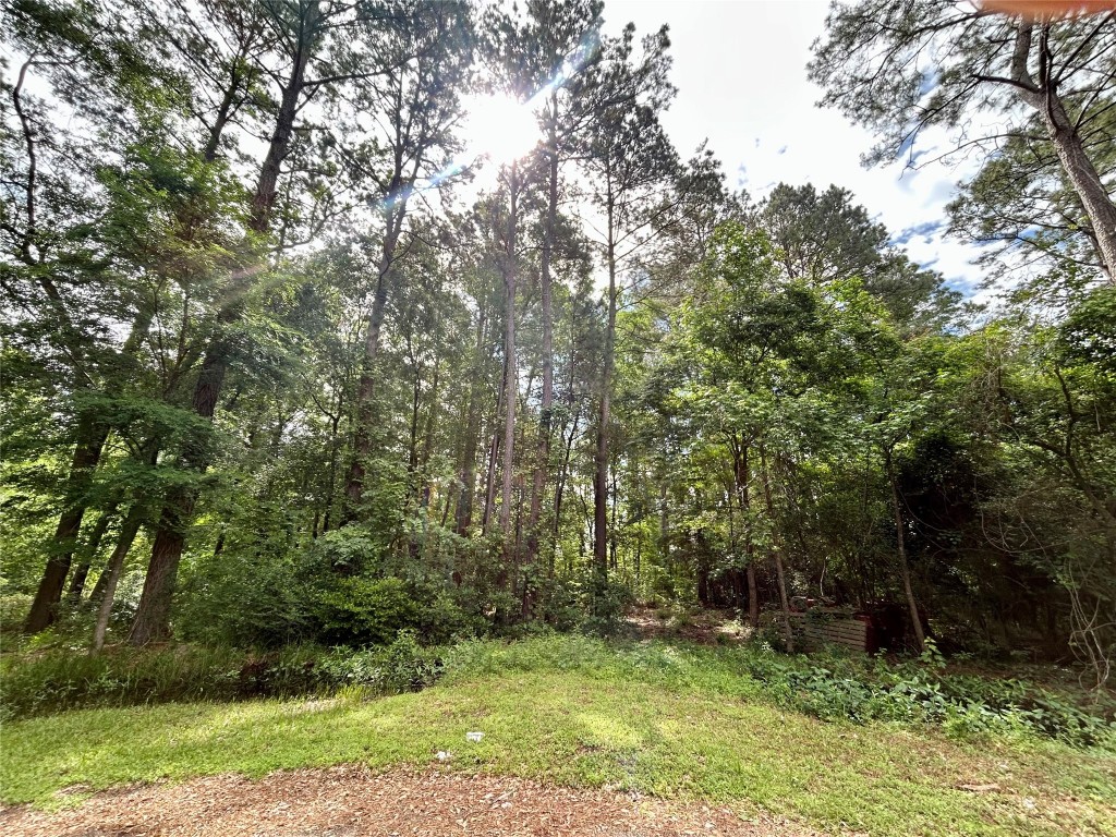 19356 Lady Bug Property Photo 1