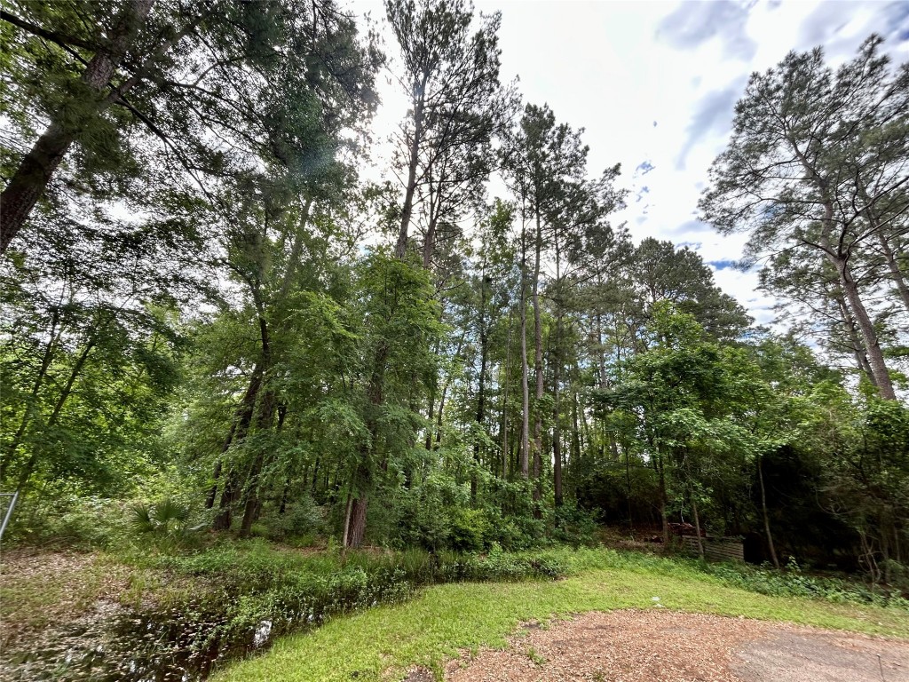 19356 Lady Bug Property Photo 2