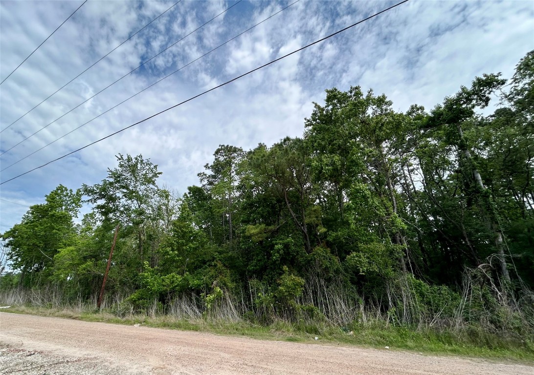 19356 Lady Bug Property Photo 3