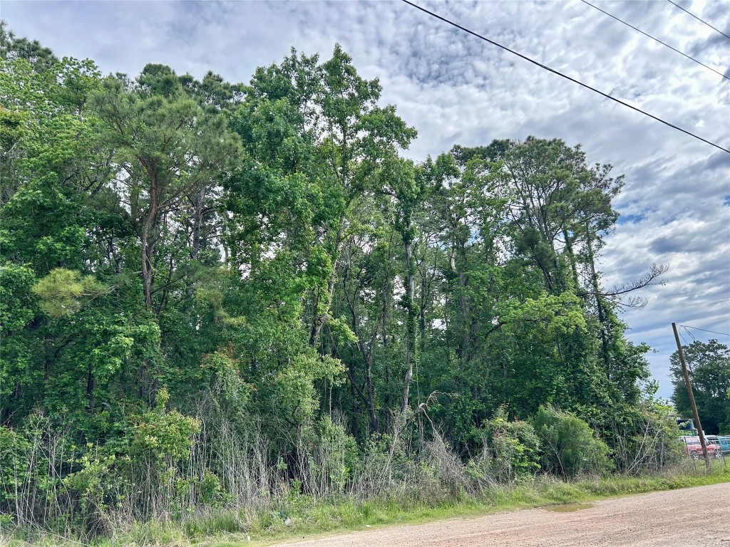19356 Lady Bug Property Photo 6