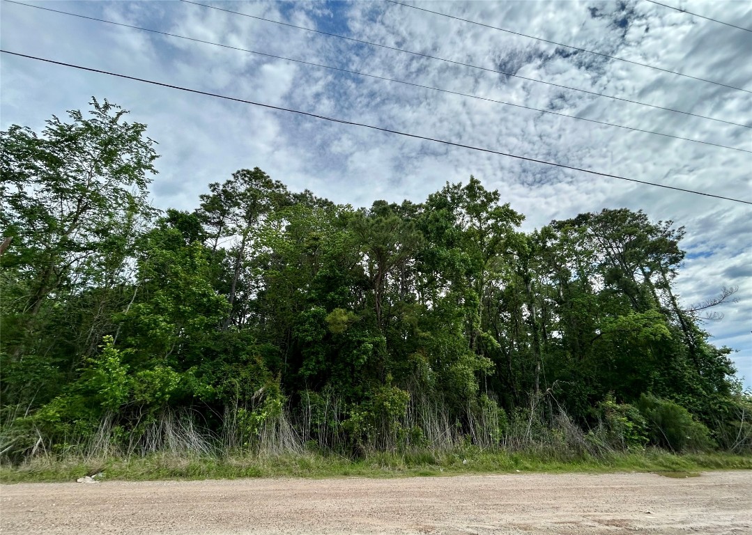 19356 Lady Bug Property Photo 7