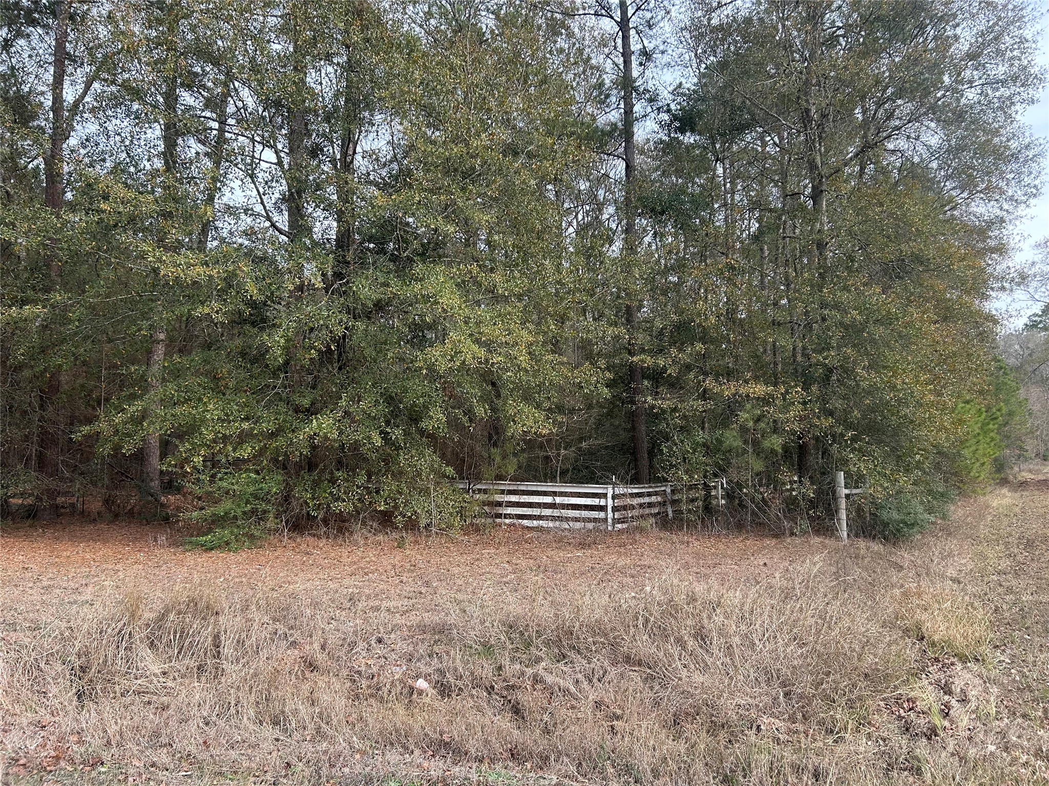 19043 Miranda Drive Property Photo 2