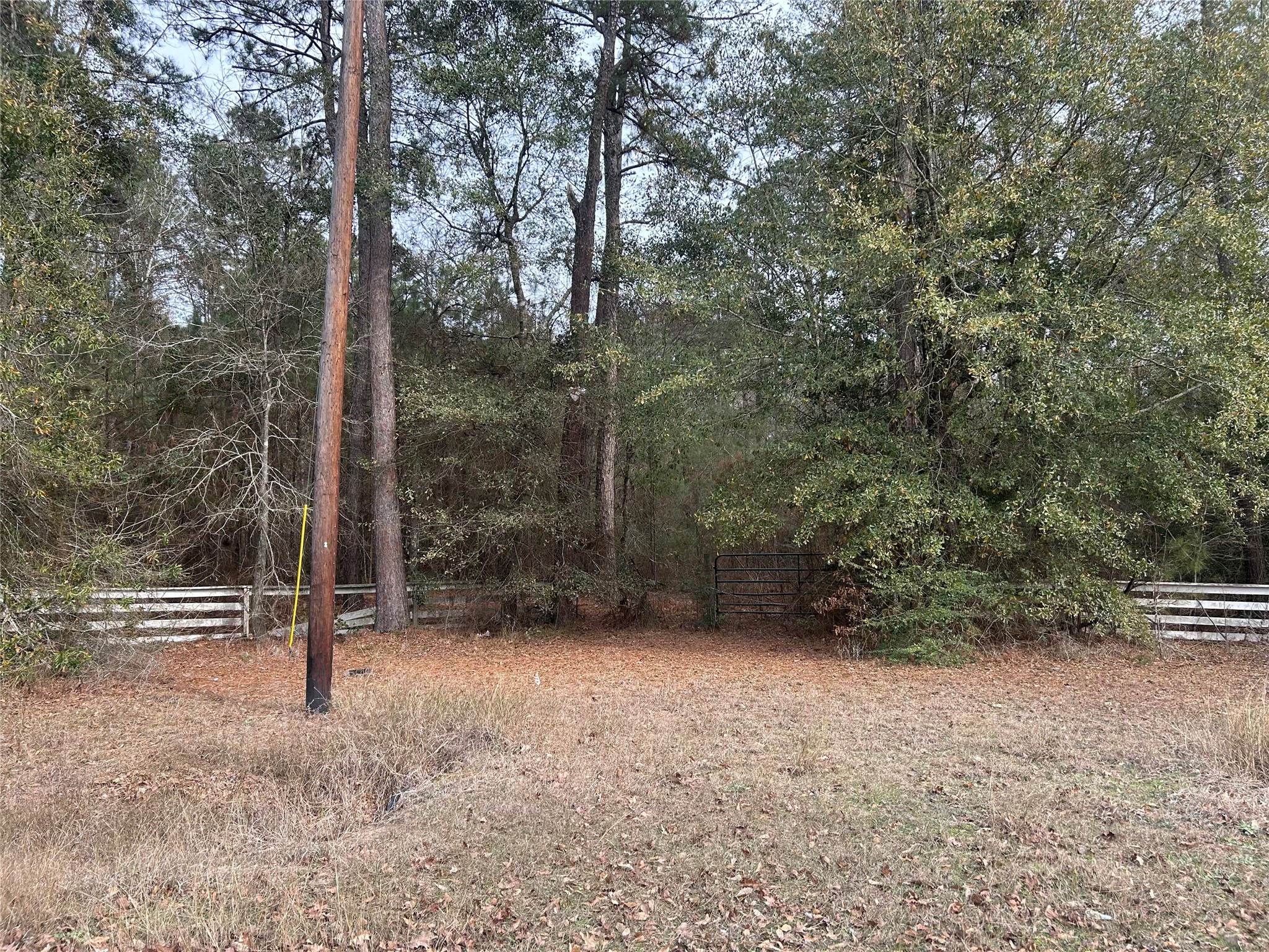 19043 Miranda Drive Property Photo 5