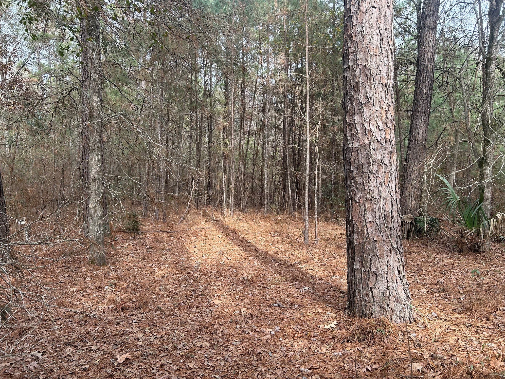 19043 Miranda Drive Property Photo 7