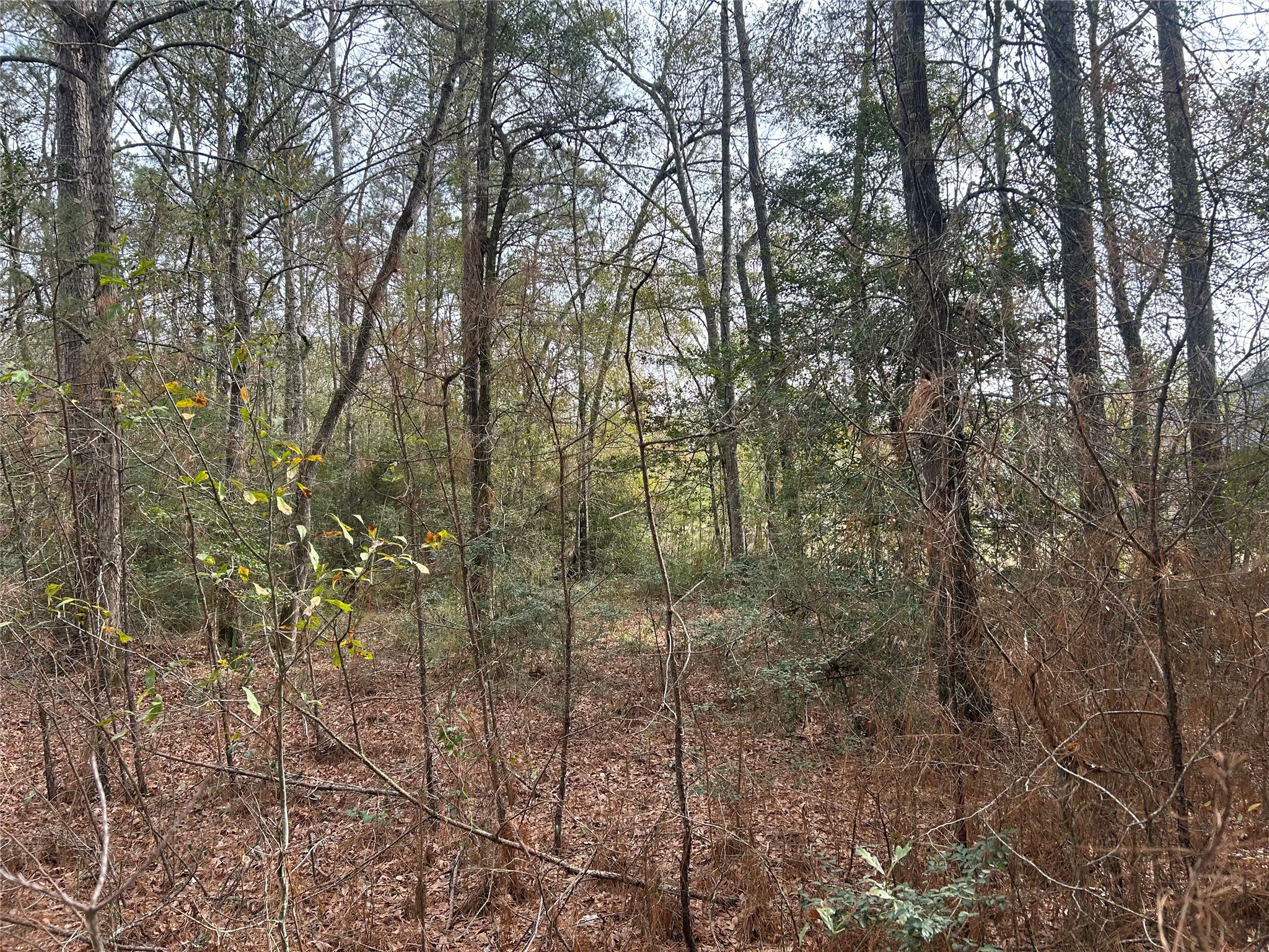 19043 Miranda Drive Property Photo 8