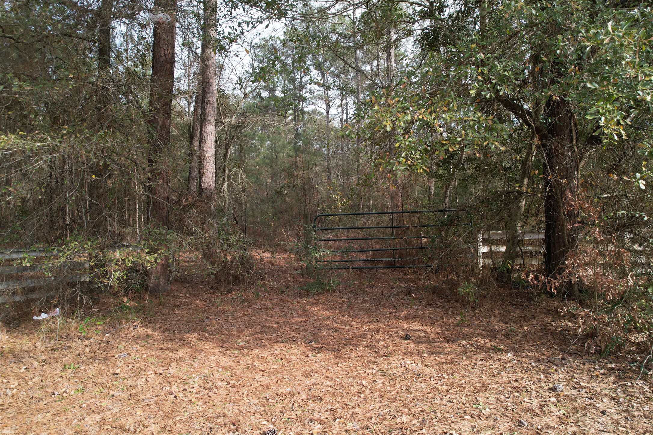 19043 Miranda Drive Property Photo 12