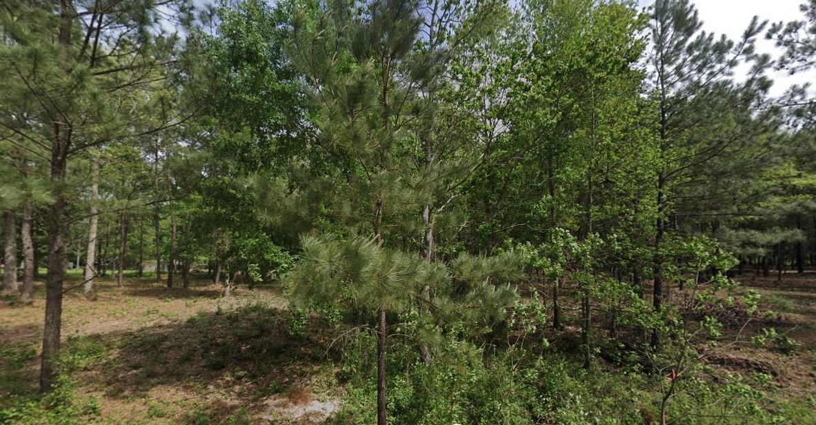 Tbd1 Humbird Property Photo 4
