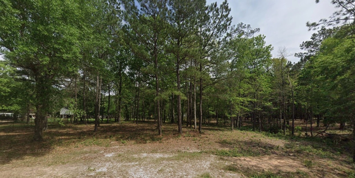 Tbd1 Humbird Property Photo 5
