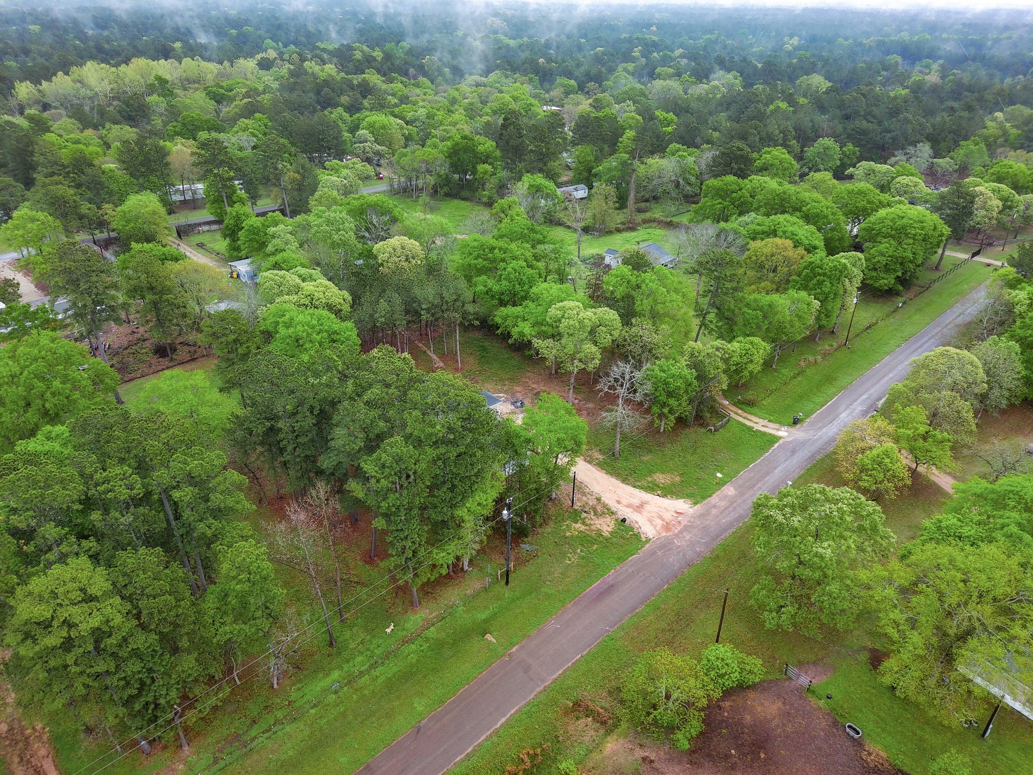 17411 Rolling Hill Lane Property Photo 19
